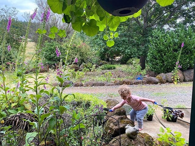 Garden helper