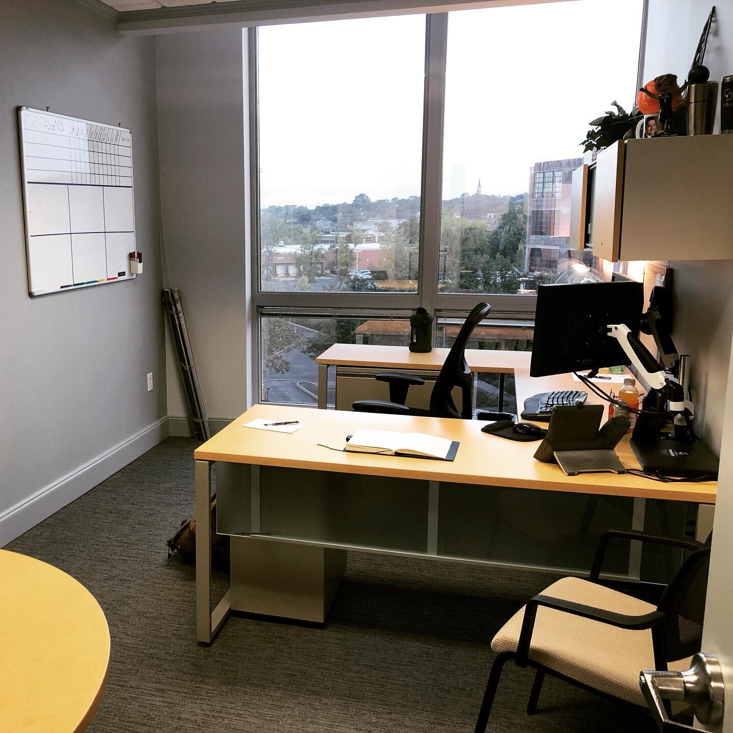 New office vibes #cuse #gocats #teddy