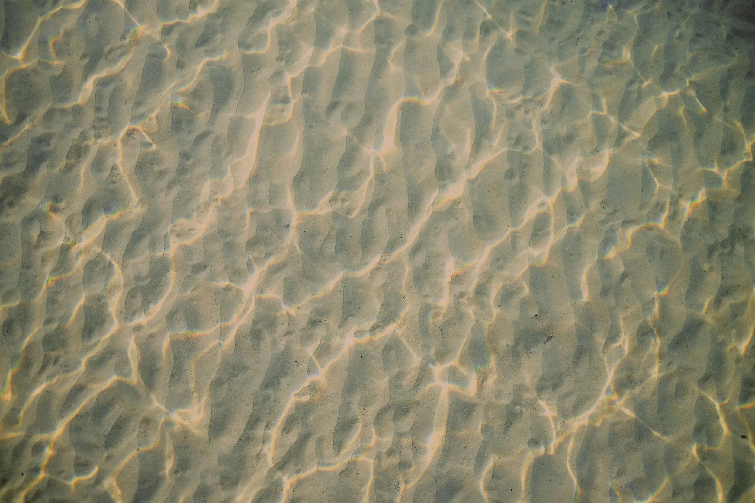 mink-mingle-245030-unsplash.jpg