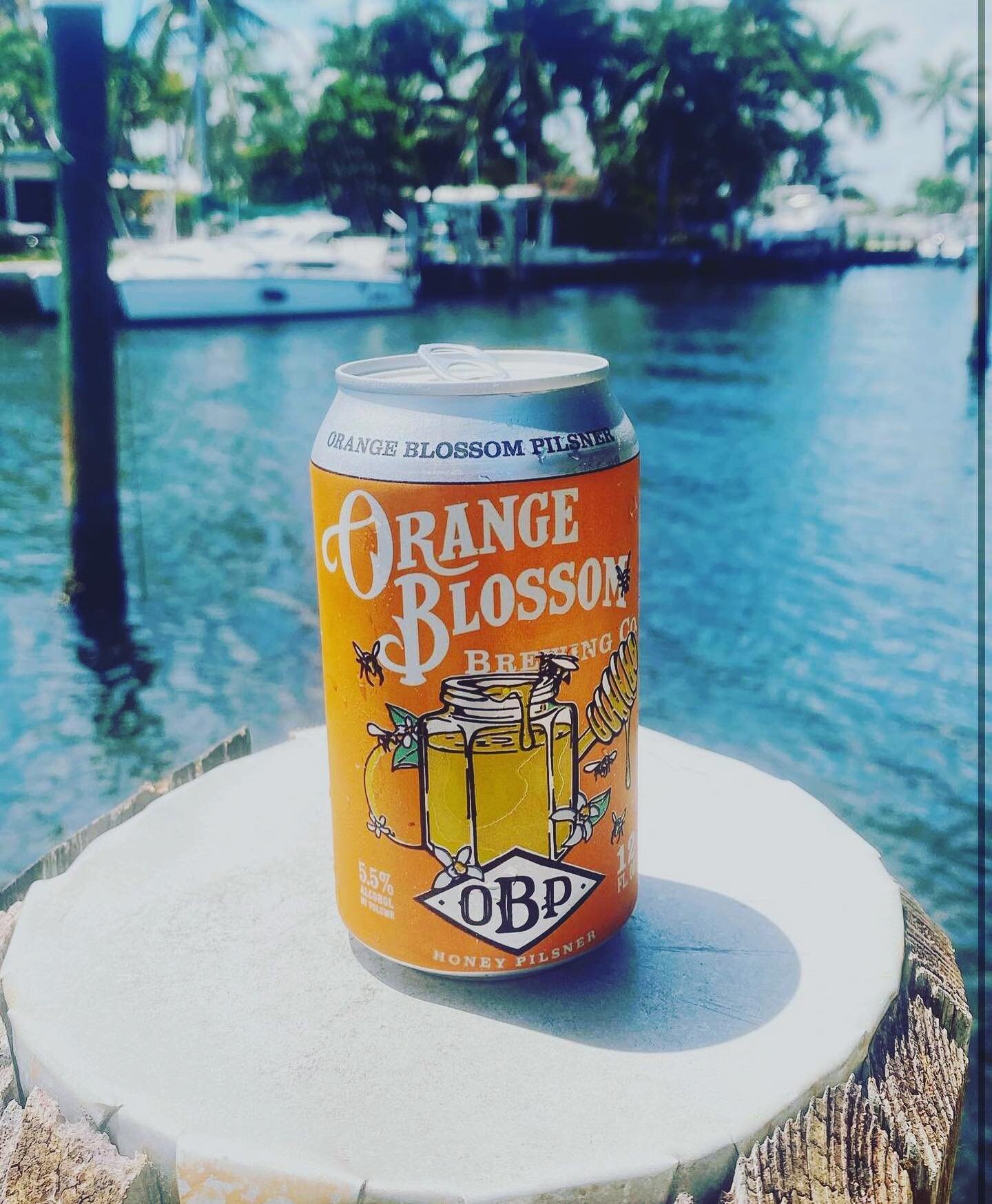 The perfect beer for Florida living. 😁🍻🧡
.
.
repost @jslots3
#orangeblossompilsner #orangeblossombrewing #floridabeer #orlando #orlandobeer