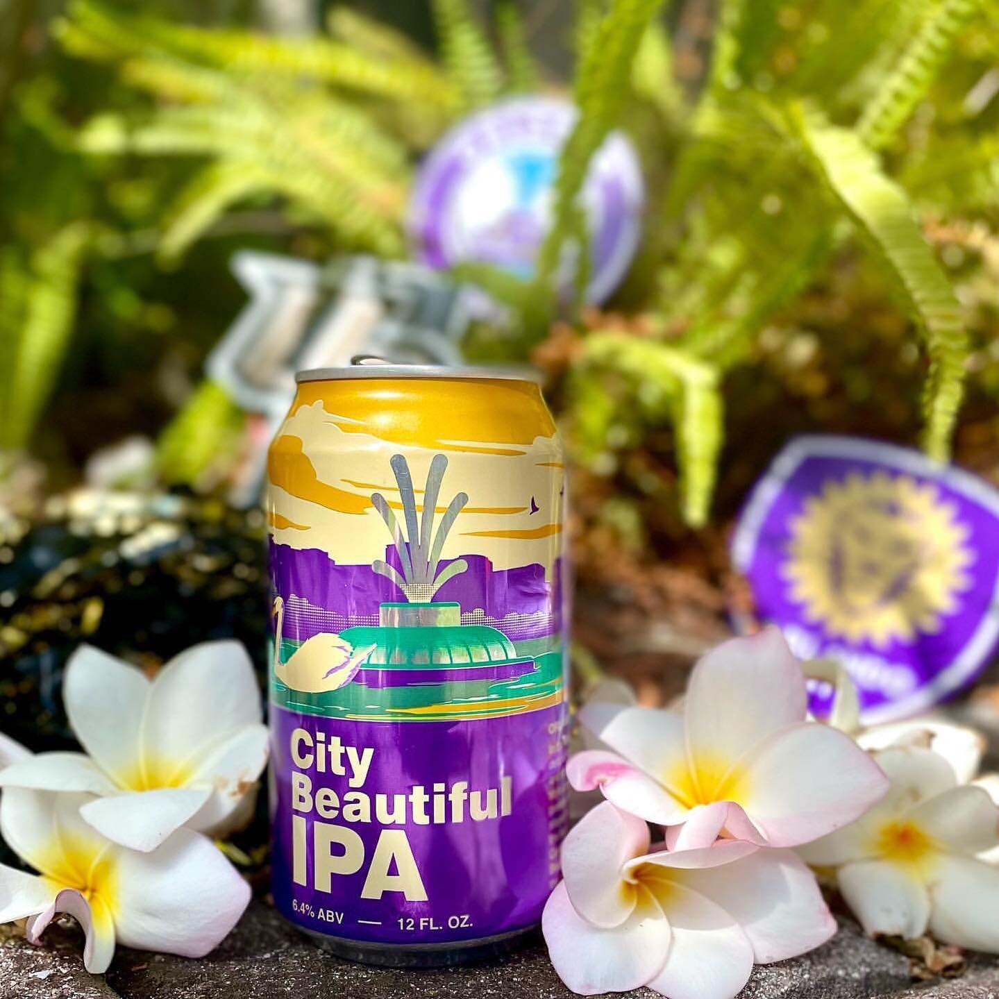 Happy #407Day 😁🍻💜

repost @chris.meets.beer Cheers to living in Orlando for National Beer Day on 407 Day. 

🍺 City Beautiful IPA Orange Blossom Brewing Co. 

#nationalbeerday #407day #orlando #CheckInLife #ipa 
#orlandoflorida #407 #citybeautiful