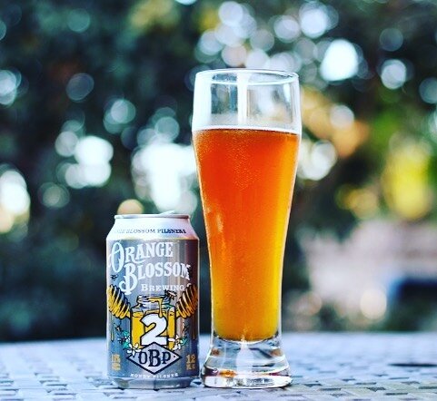 11% Never tasted so good. Have you tried our OBP Squared yet? 😁🍻🧡
.
📷: Anna Dacosta
.
#orangeblossombrewing #orangeblossompilsner2 #orangeblossompilsner #imperialhoneypilsner #floridabeer #orlando #orlandobeer