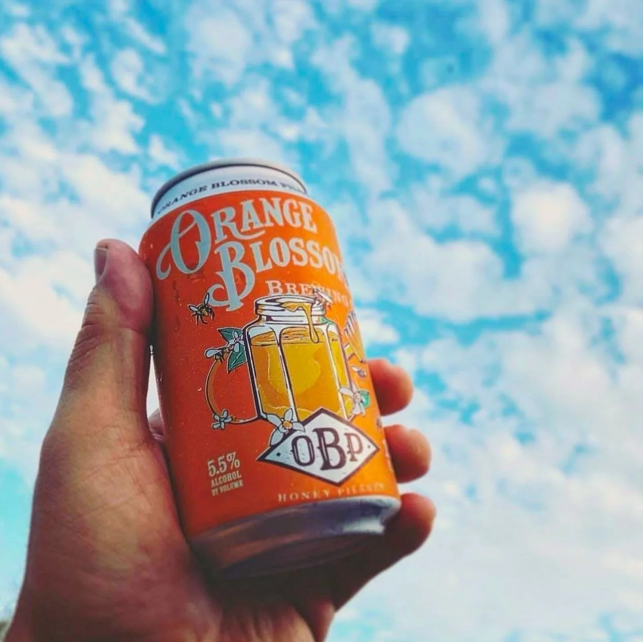 NYE Resolution: drink more OBP. 😁🧡🍻
Stock up for the festivities with our beer finder at orangeblossombrewing.com
.
.
#orangeblossompilsner #orangeblossombrewing #floridabeer #nye