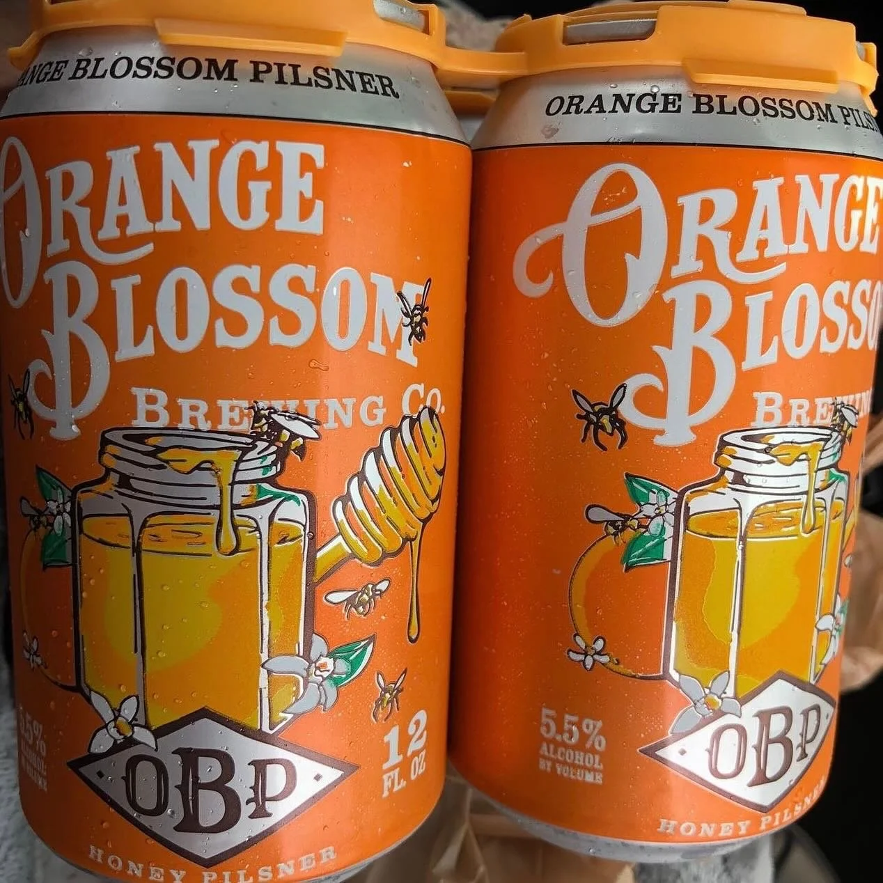 You ready for a nice cold OBP? It&rsquo;s hot out there!! 😁🍻🧡
.
#orangeblossombrewing