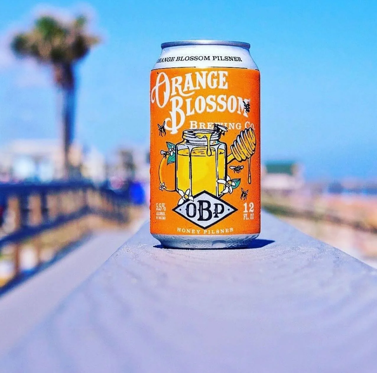 Cheers to Memorial Day! 😁🧡🍻🇺🇸#orangeblossombrewing #orangeblossompilsner