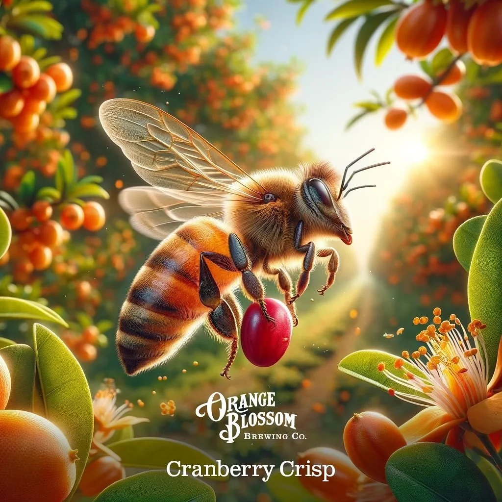 Our Cranberry Crisp is pouring at select locations. Check the beerfinder on our website at: orangeblossombrewing.com 😁🍻🎄🧡
.
#orangeblossombrewing #cranberrycrisp #orlando #floridabeer