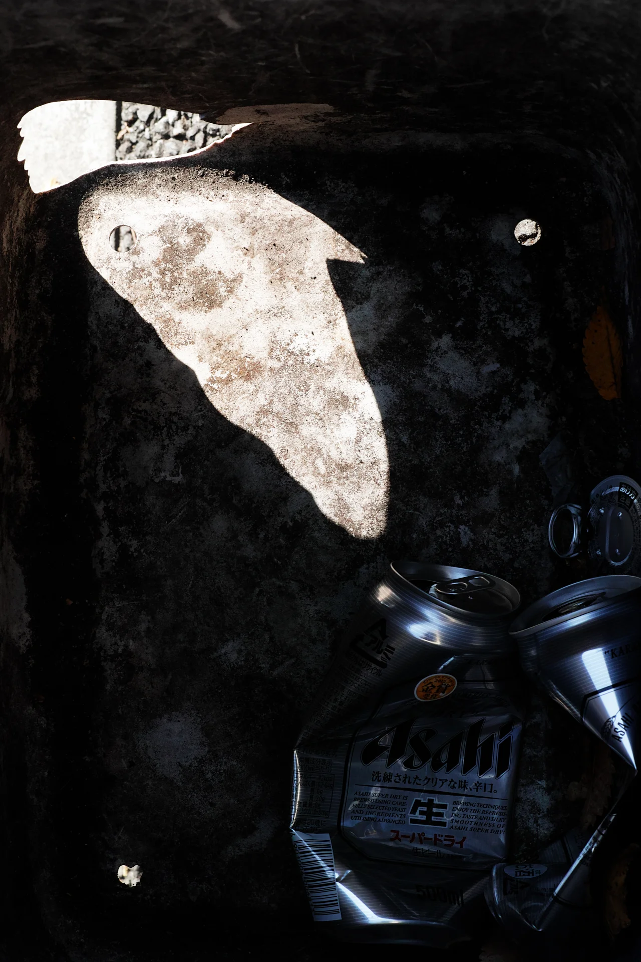 _SDI2907.jpg