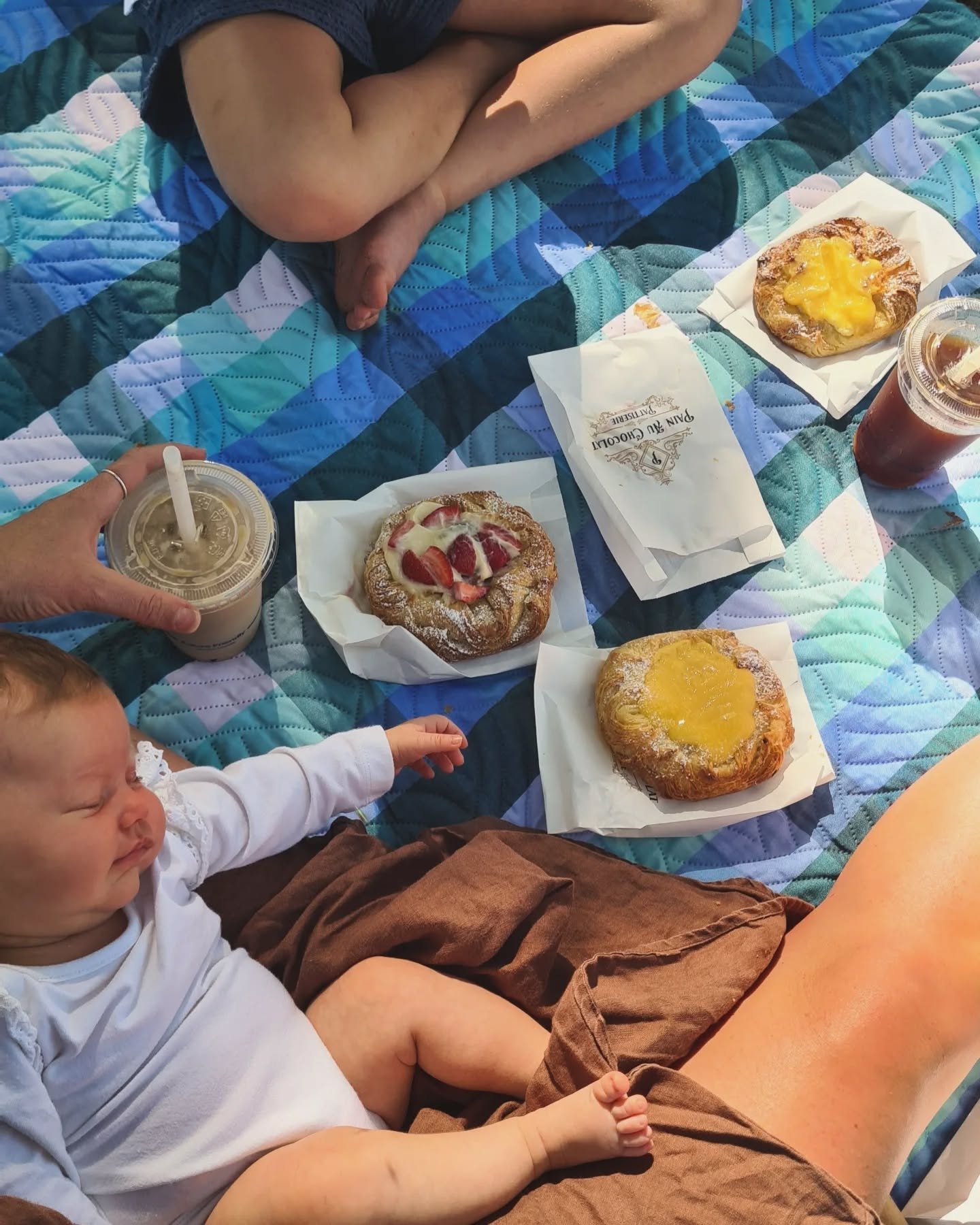 Early morning summer picnics.  Thank you @painauchocolatpatisserie for the goods 🤌🏼