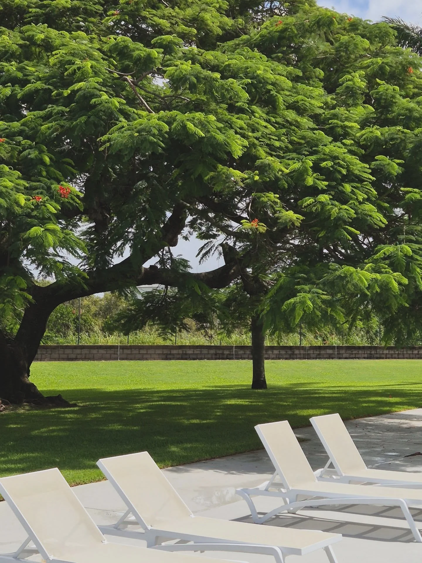 Curated content from the last few days. 
#getlivelymackay