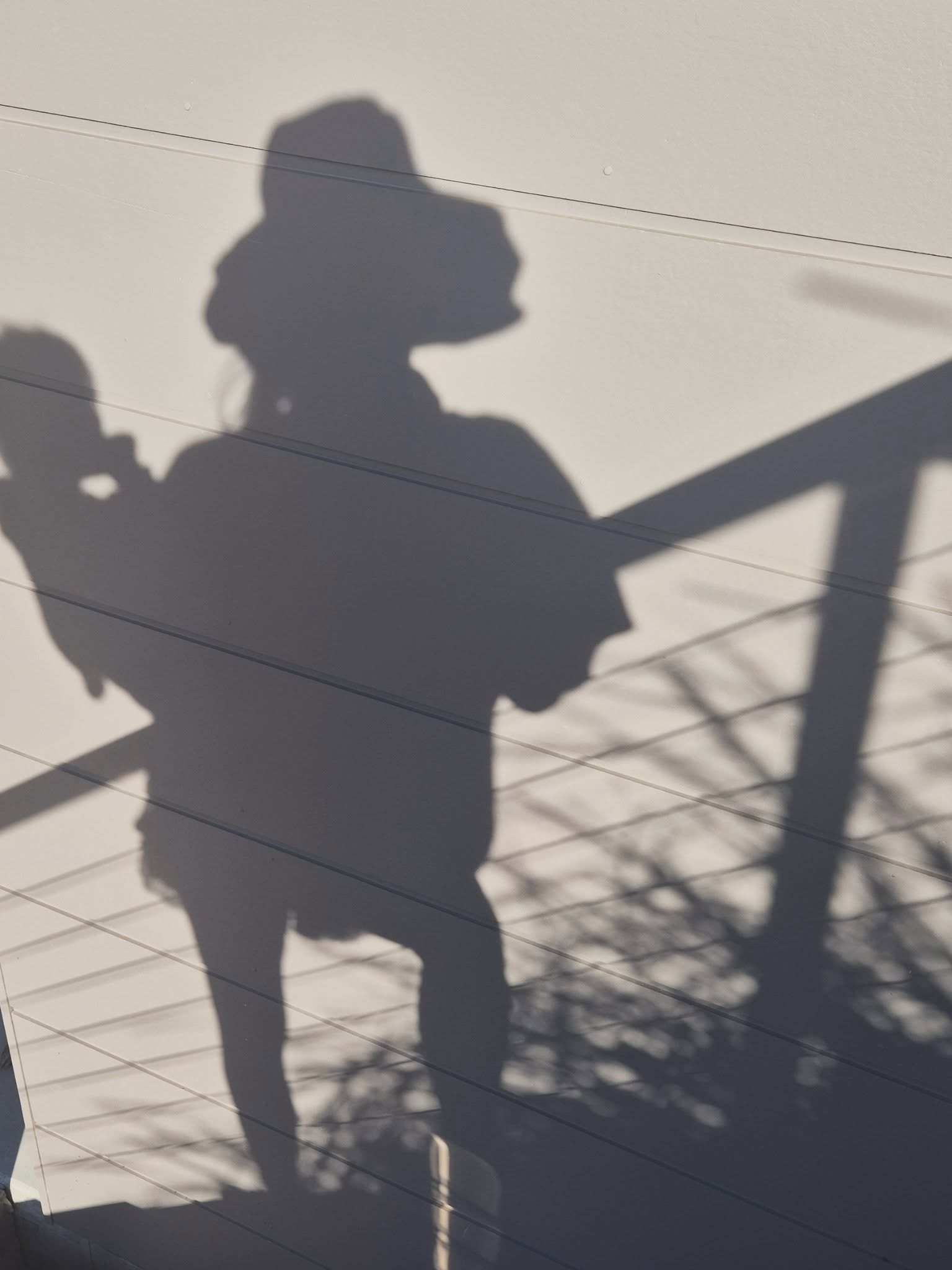 Some highlights from home.