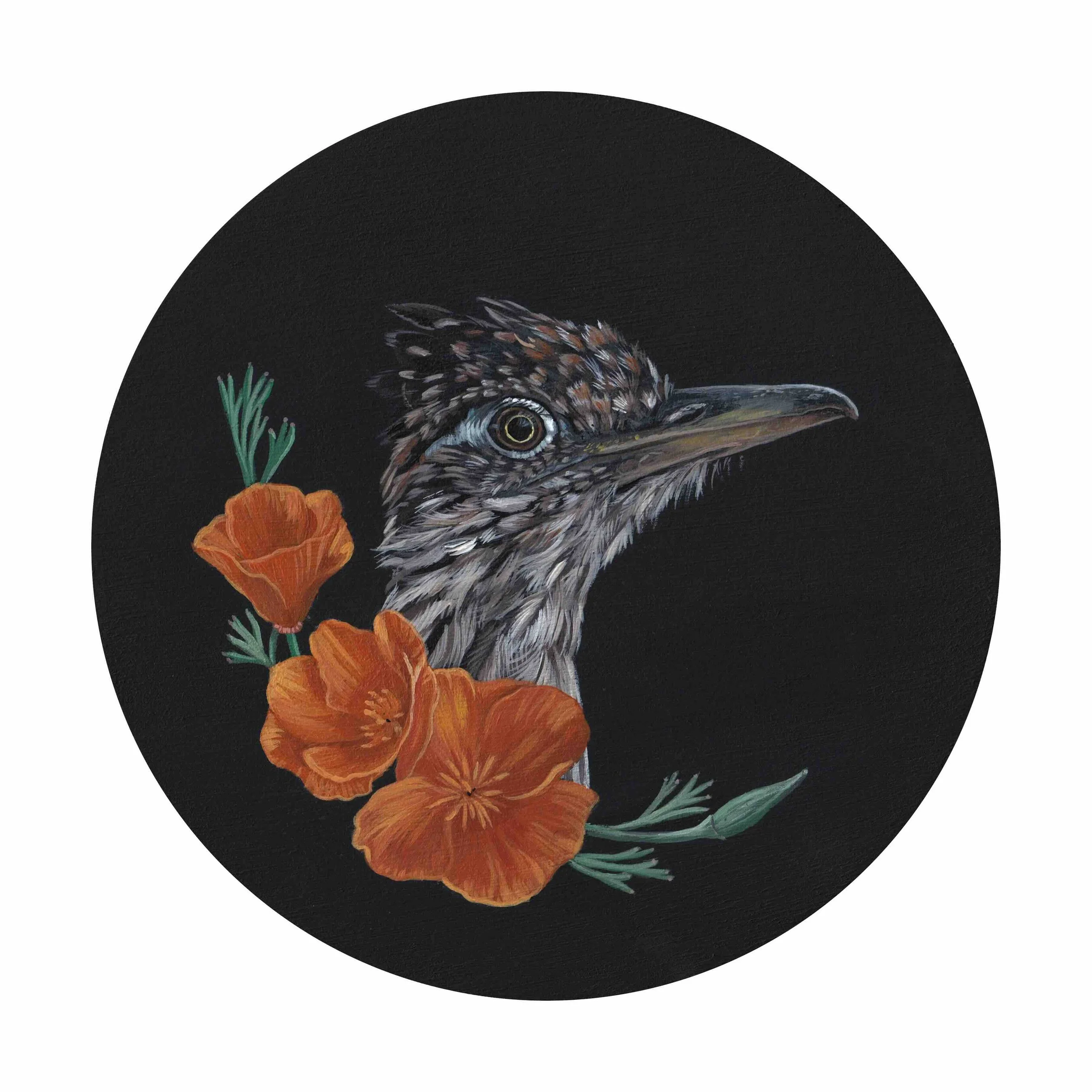 Roadrunner & poppy 6x6".jpg