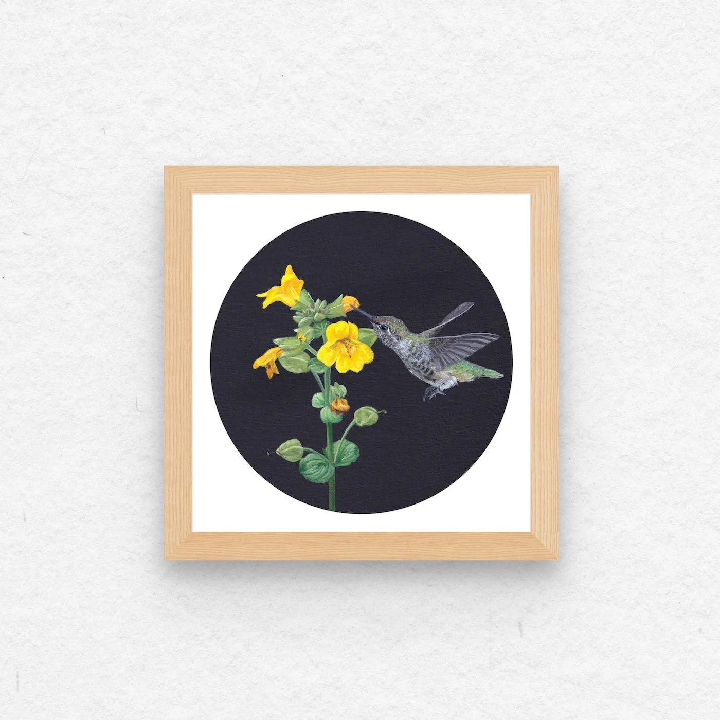Anna's Hummingbird & Monkey Flower.jpg