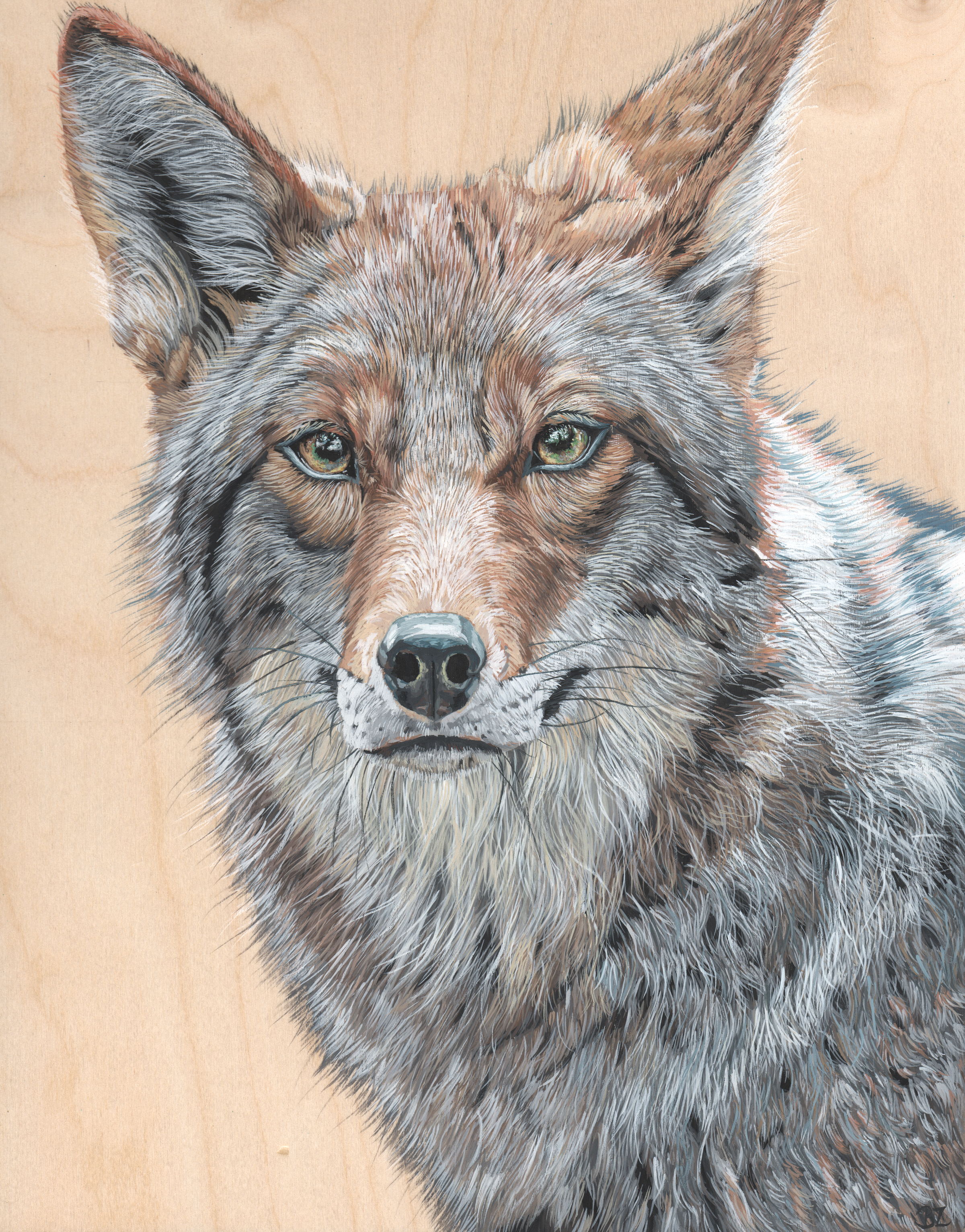 "Vigilant." 11x14" Gouache on Birch Panel. $275.00. Please contact me to purchase.