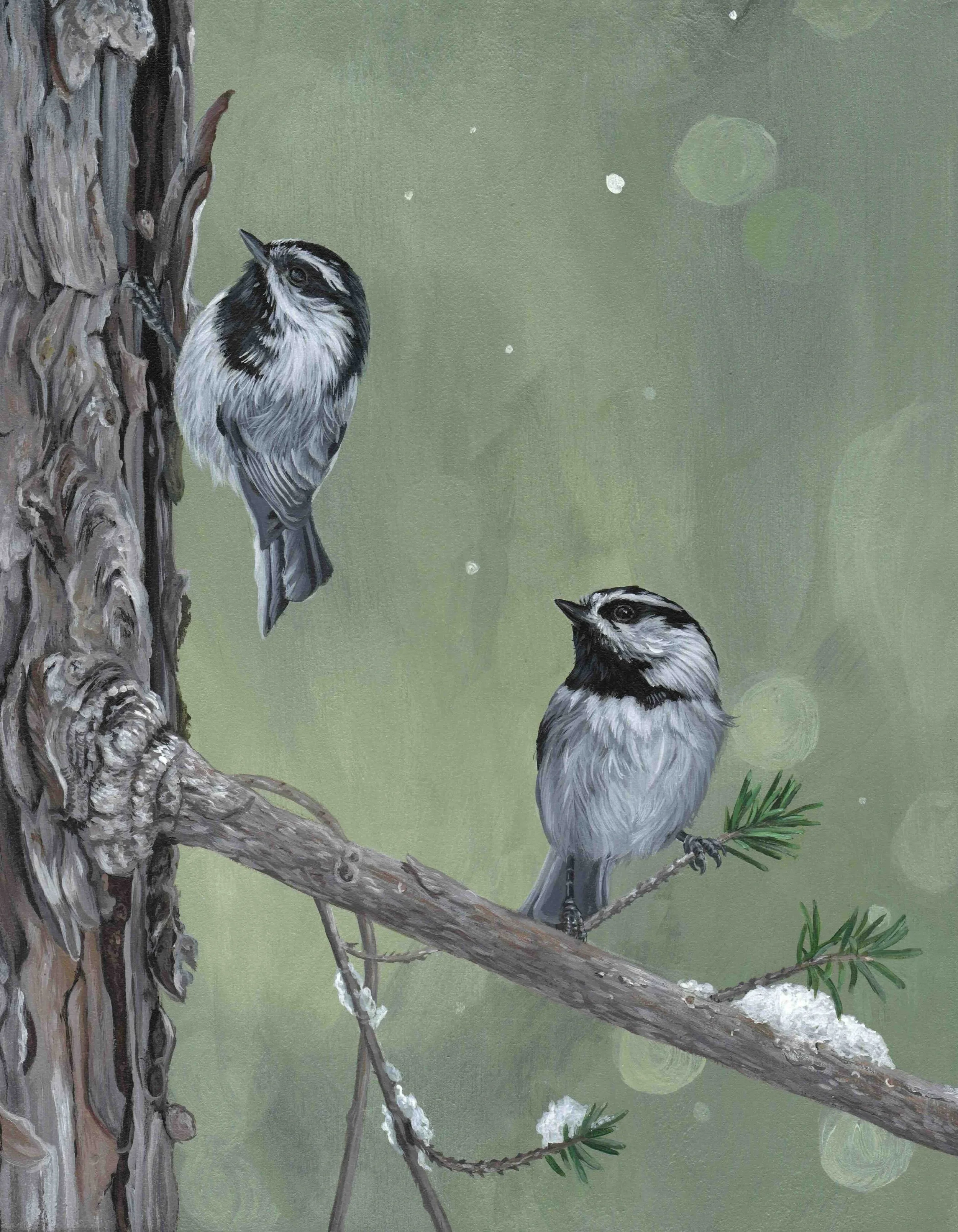 Mountain Chickadees Bekah Zeimetz Art Eugene Wildlife Bird Artist.jpeg