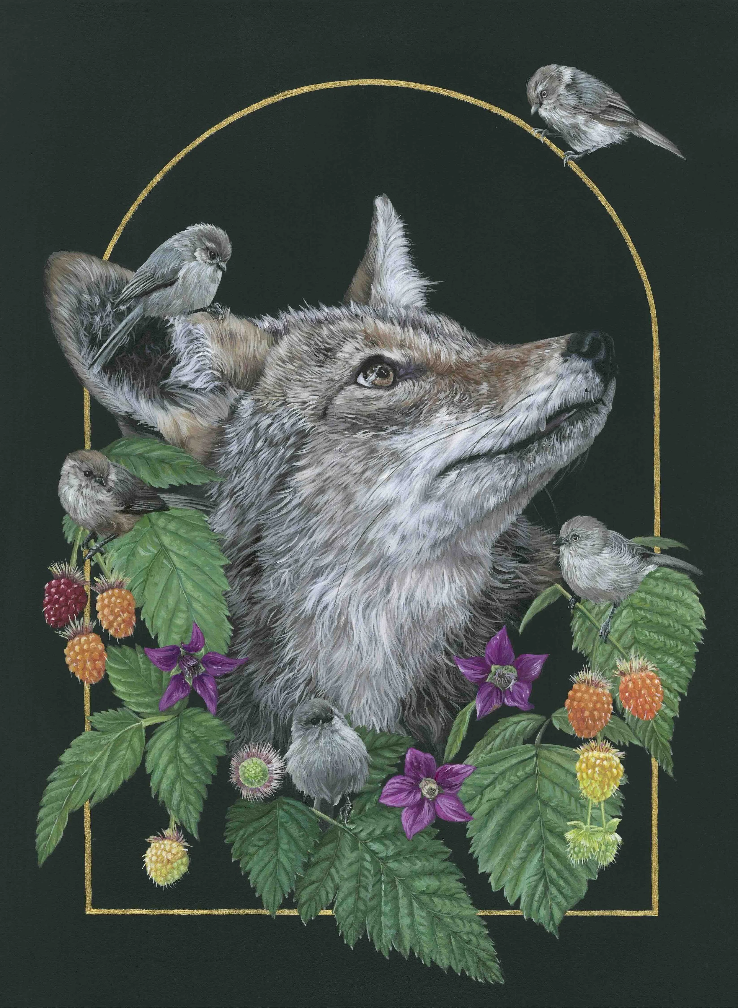 Coyote Salmonberry Painting Bekah Zeimetz Wildlife Artist Eugene Oregon.jpeg