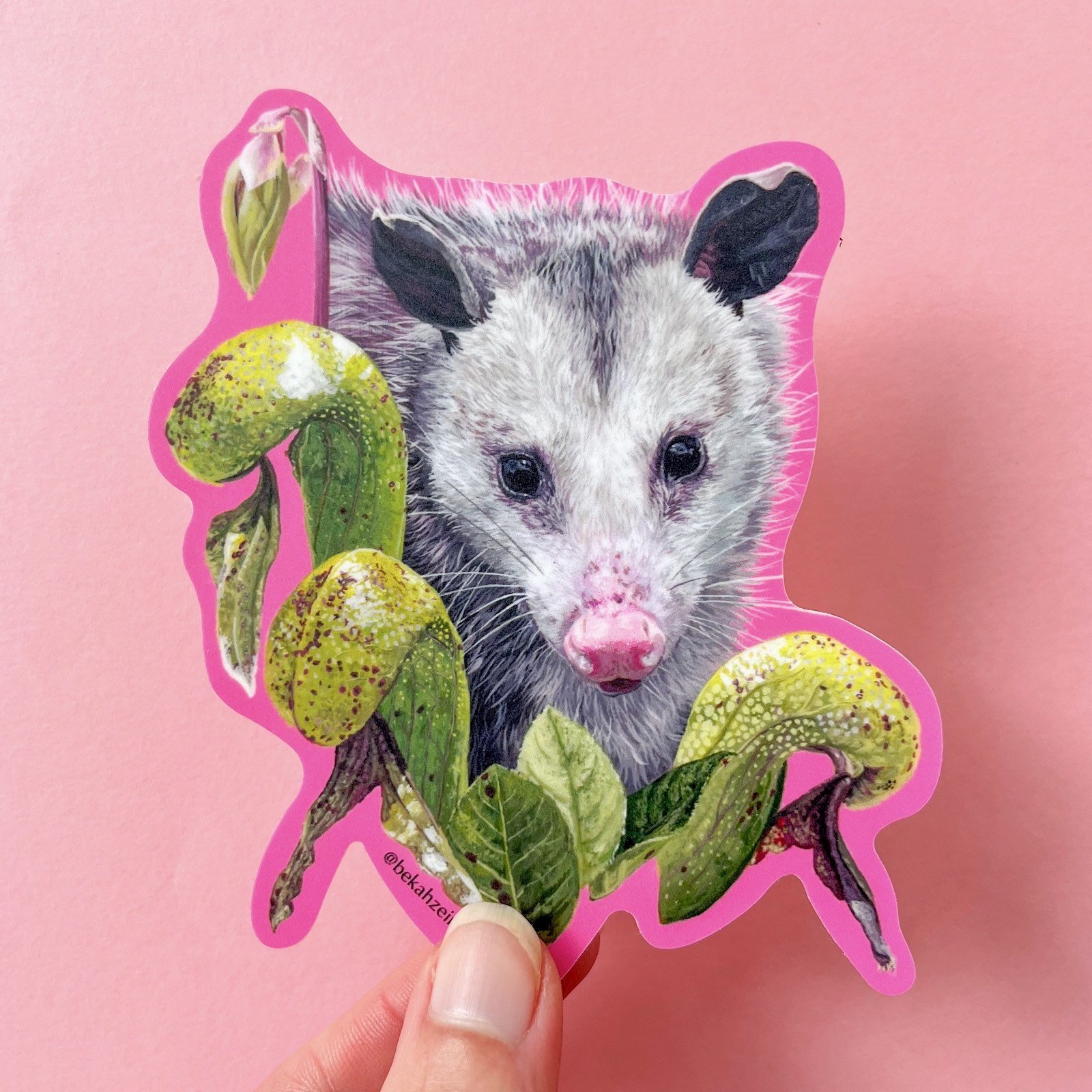 Opossum Sticker_ Bekah Zeimetz.jpg