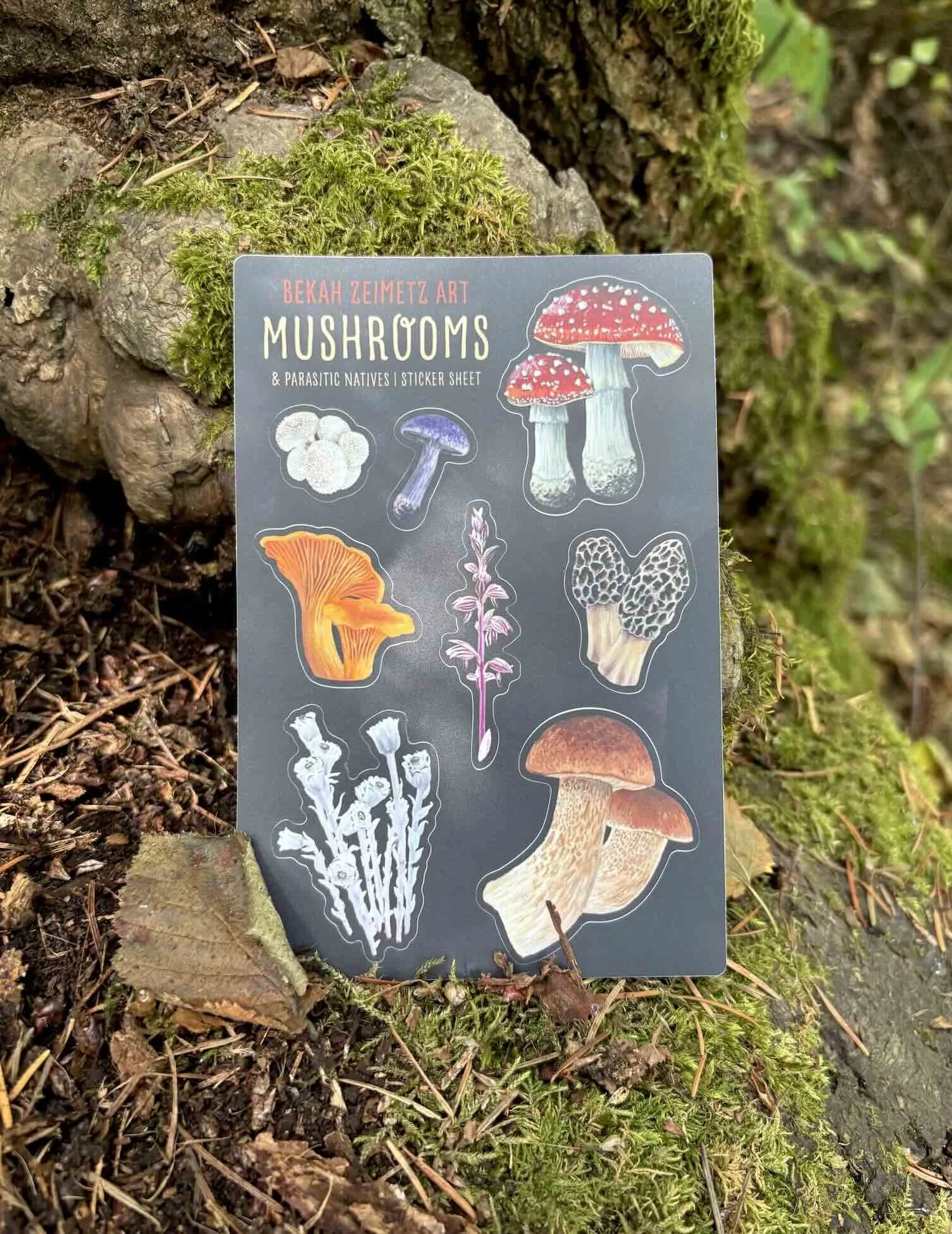 Mushroom Sticker Sheet.jpg