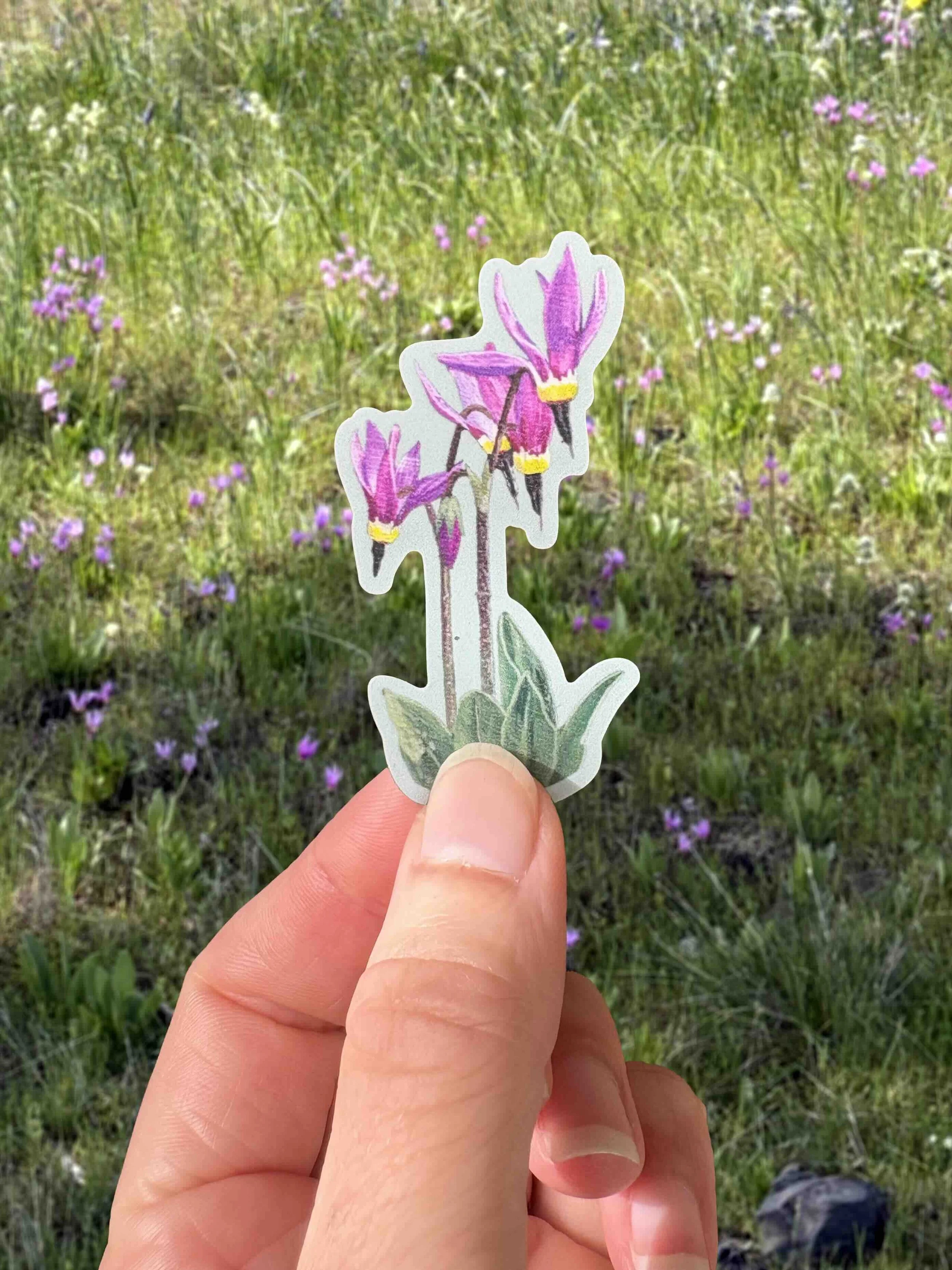 Shooting Star Sticker.jpg