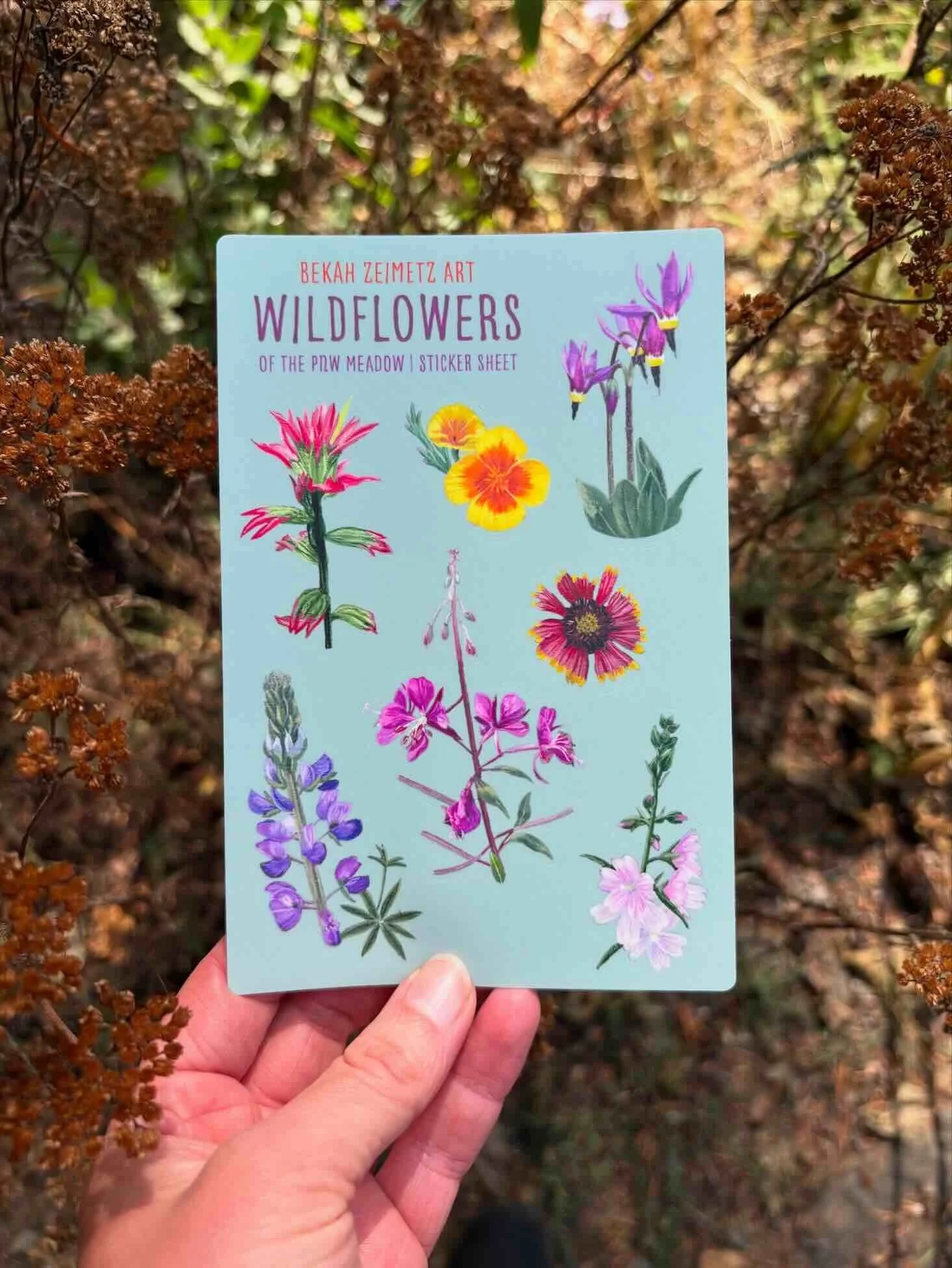 Bekah Zeimetz Meadow Wildflower Sticker Sheet.jpeg