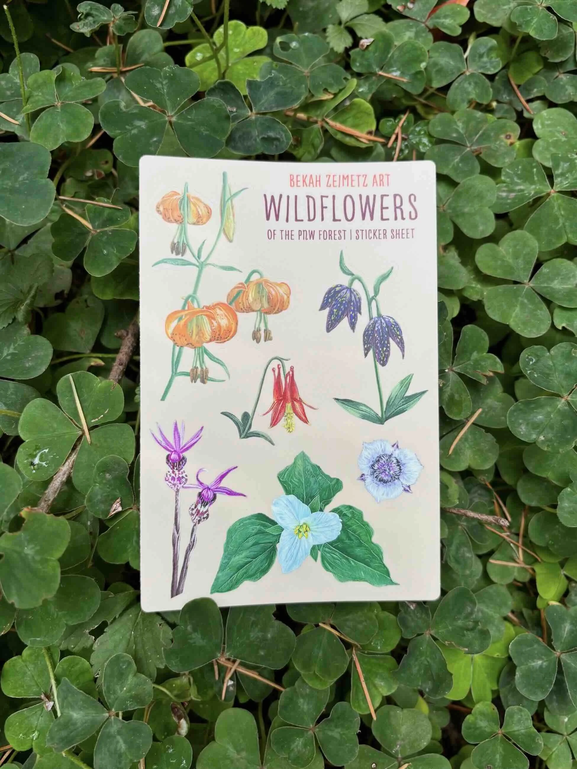 Bekah Zeimetz Forest Wildflower Sticker Sheet.jpeg