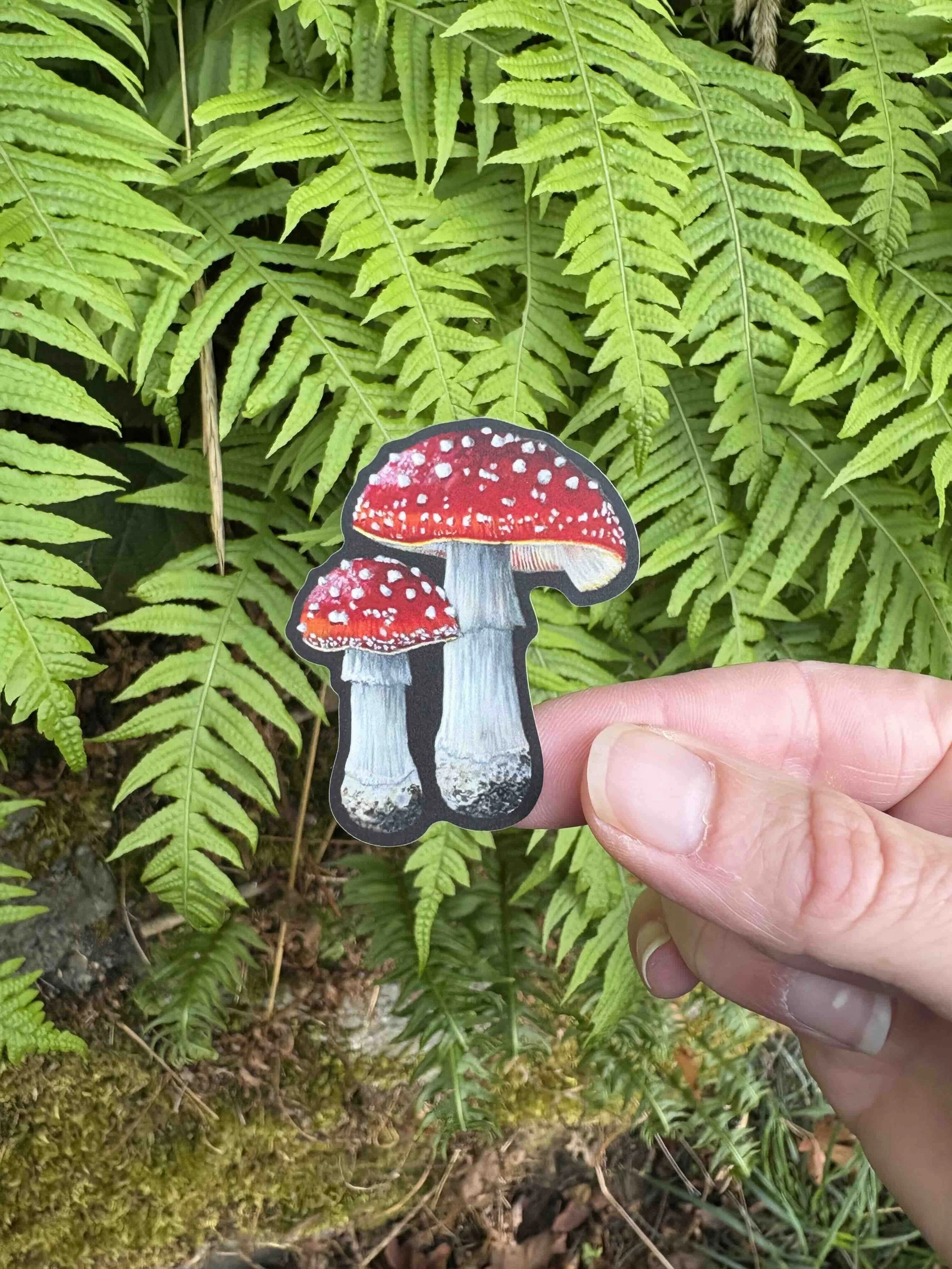 Amanita Sticker.jpg