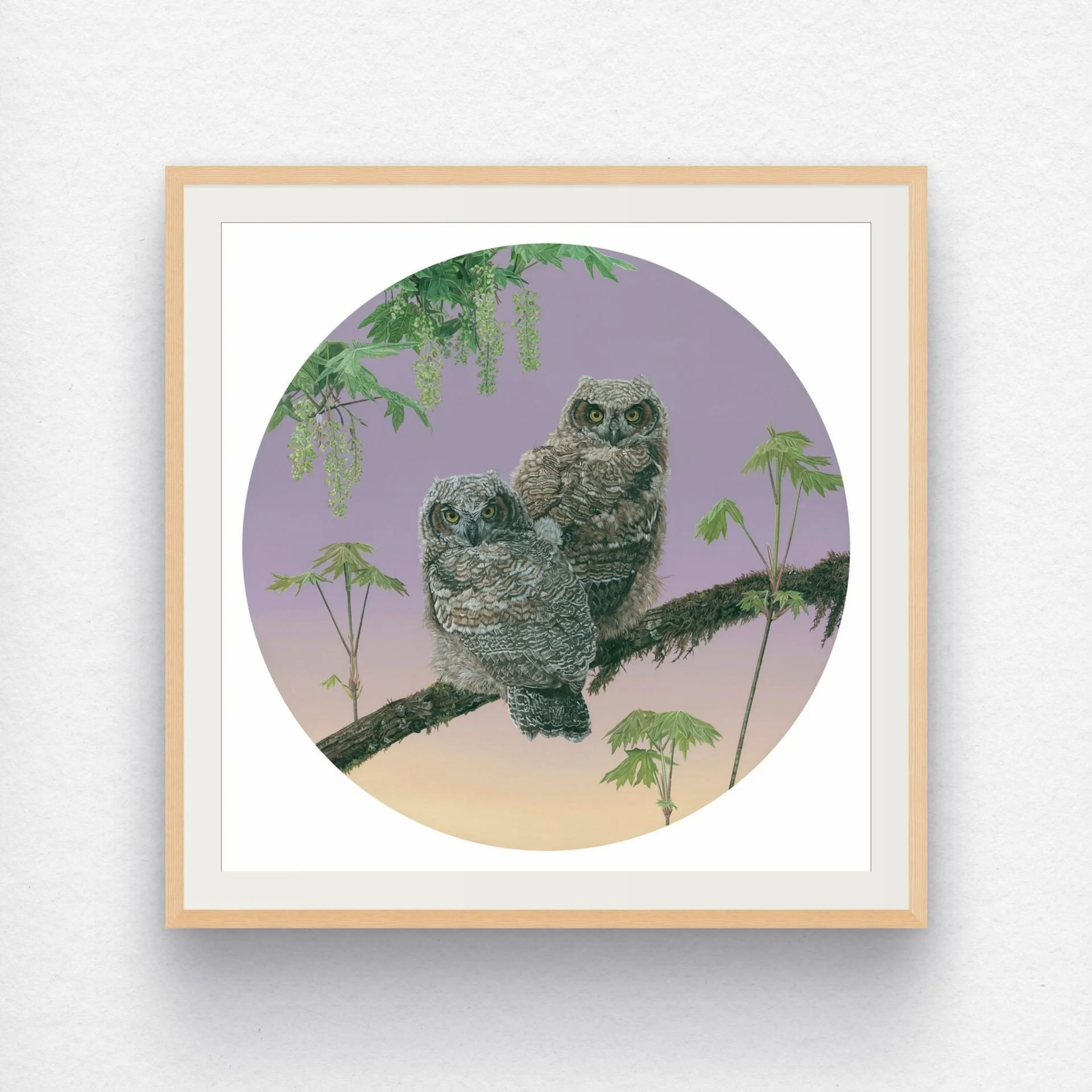 bz great horned owlets 24.25 final s_i 16x16-medium.jpg