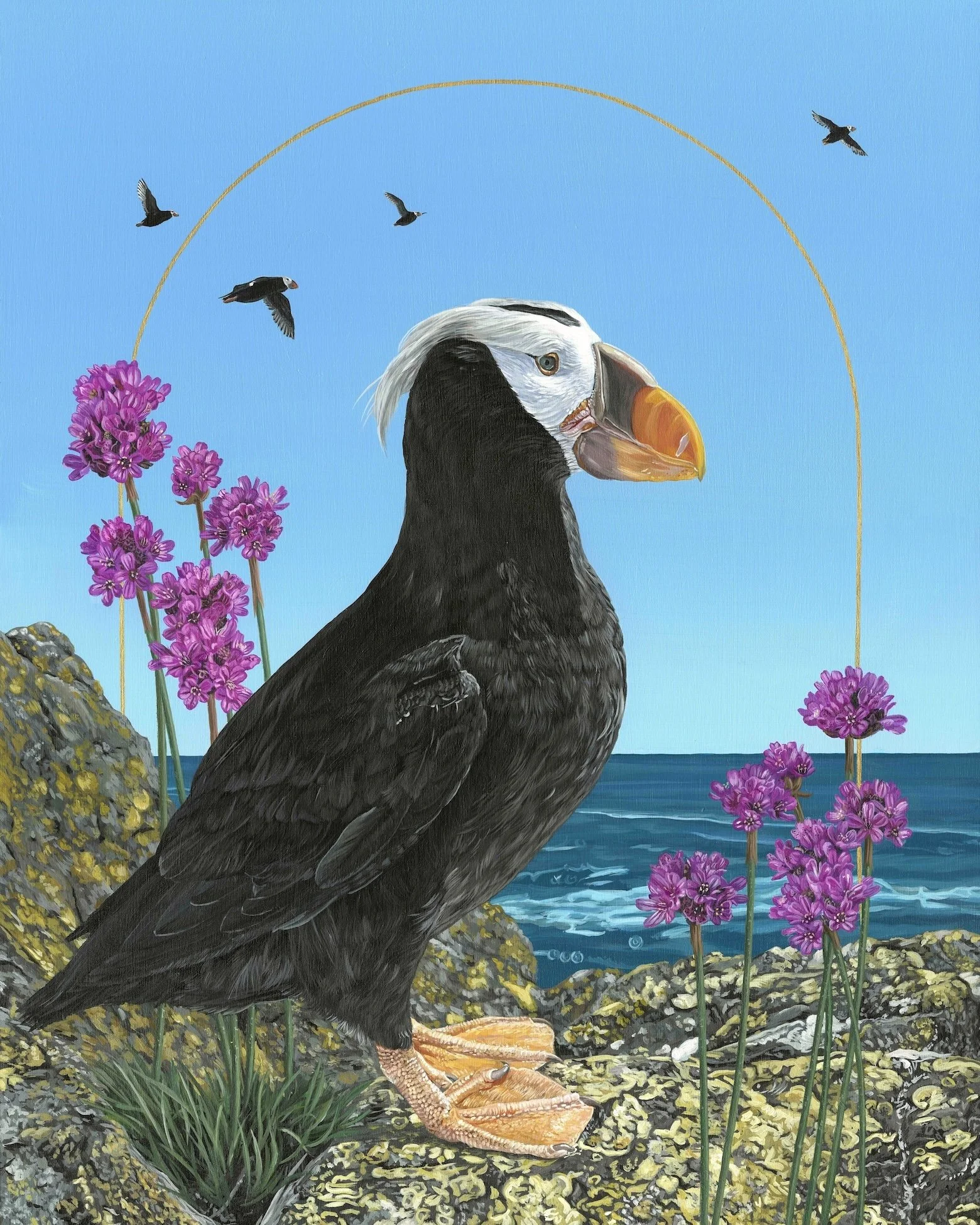 Bekah_Zeimetz_Tufted_Puffin_Acrylic_Painting_Wildlife_Bird_Oregon.jpg