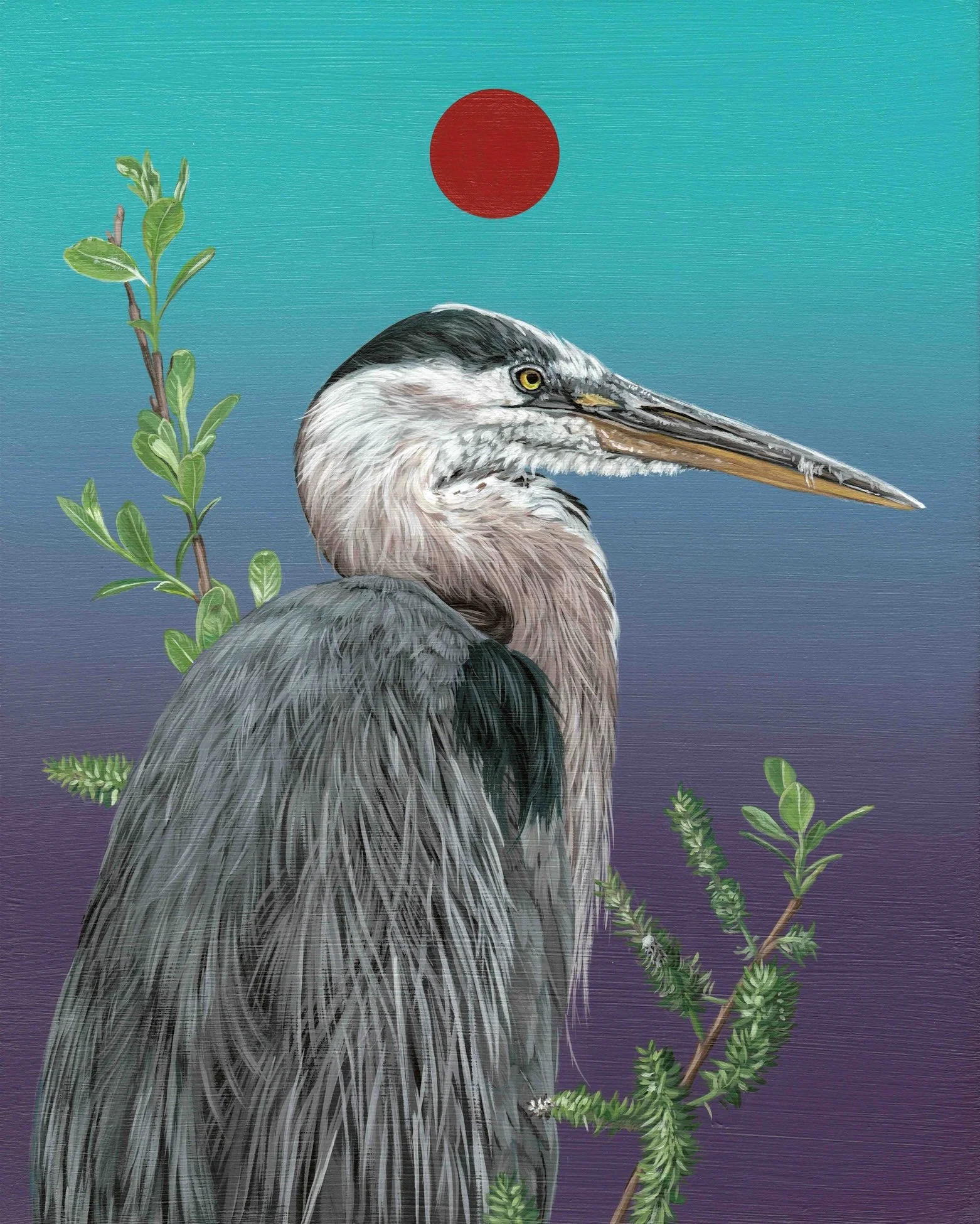 Great_Blue_Heron_Willow_Wildlife_Artist_Bekah_Zeimetz.jpg