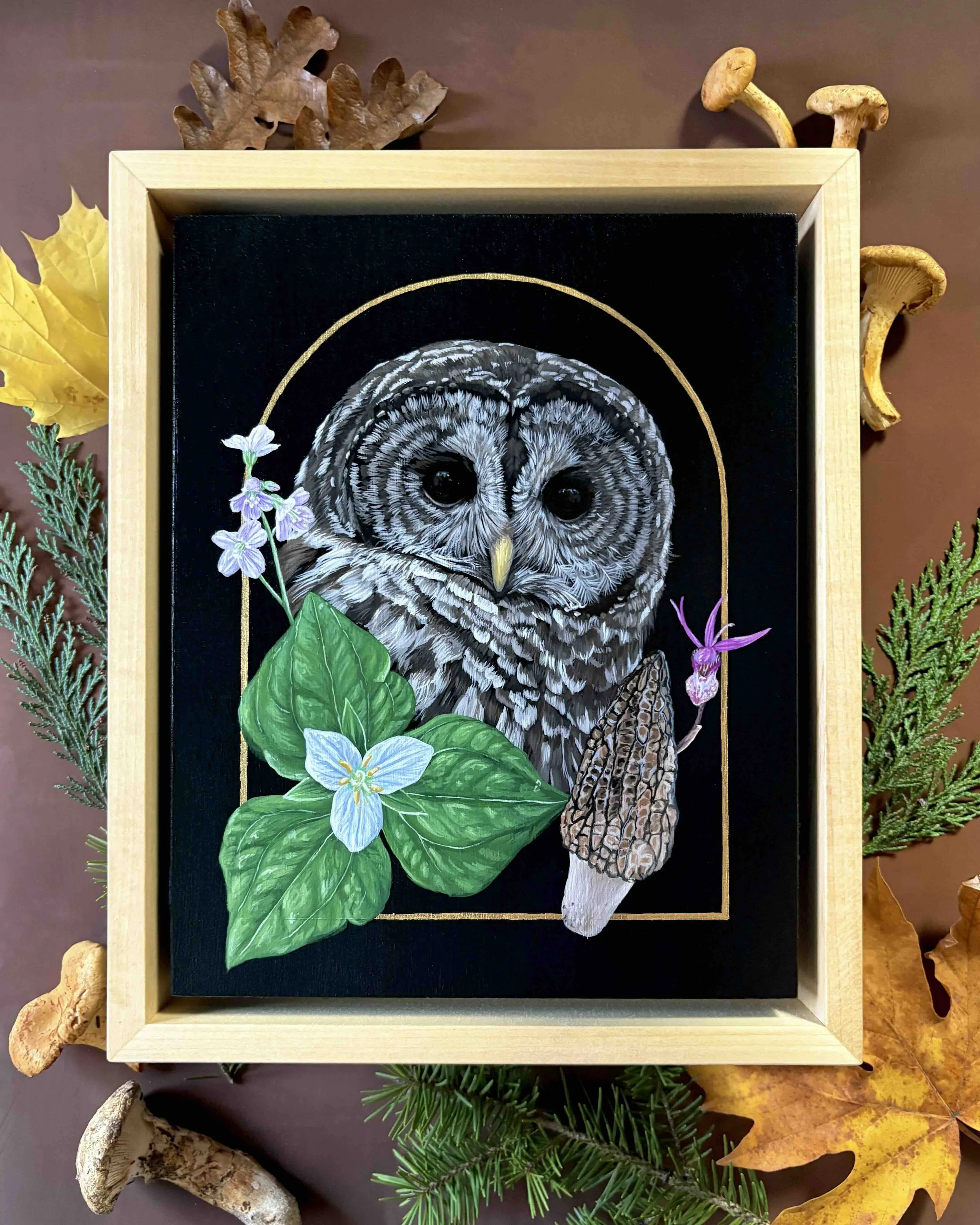 Barred Owl_Bekah Zeimetz_1.jpeg