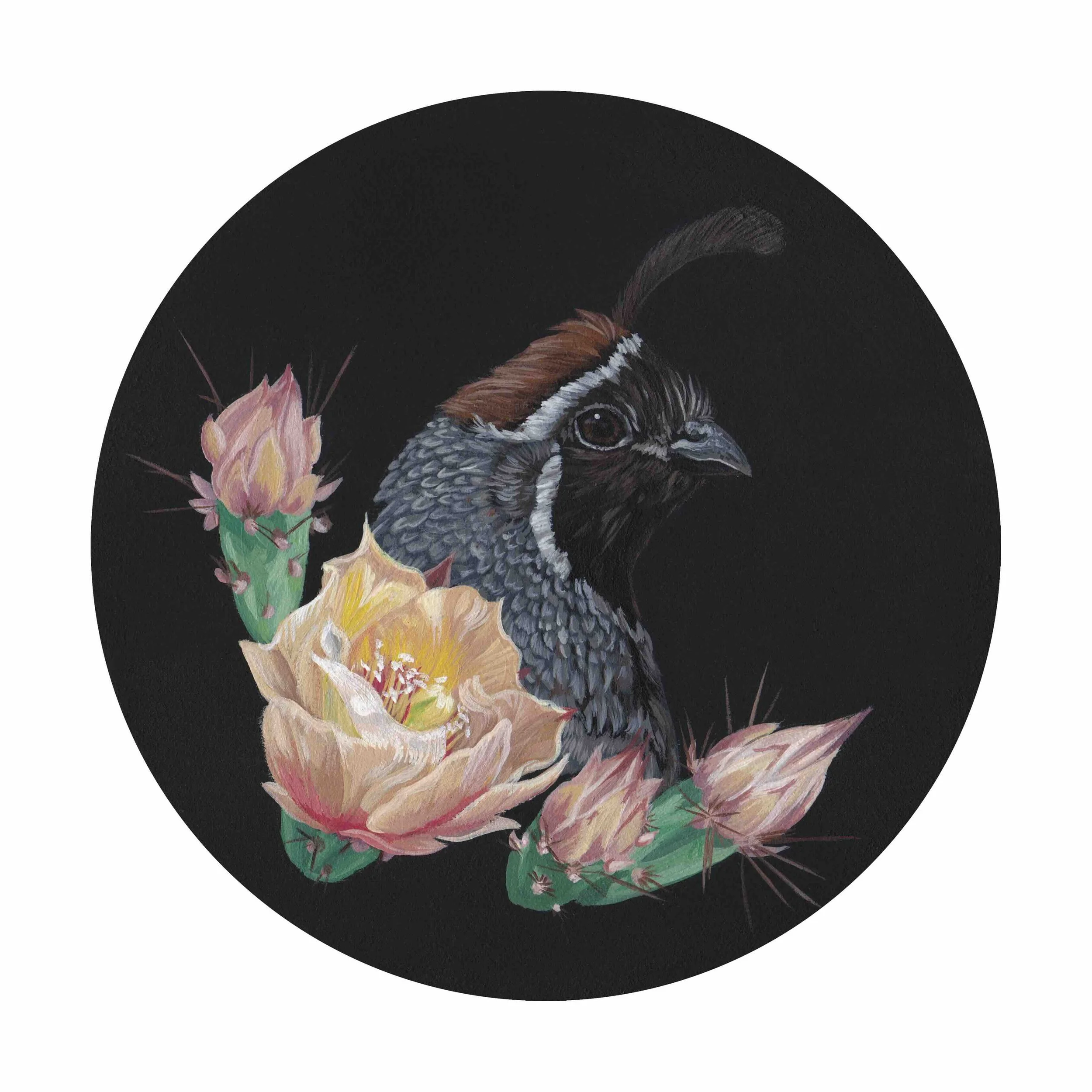 Gambel's Quail & Prickly Pear.jpg