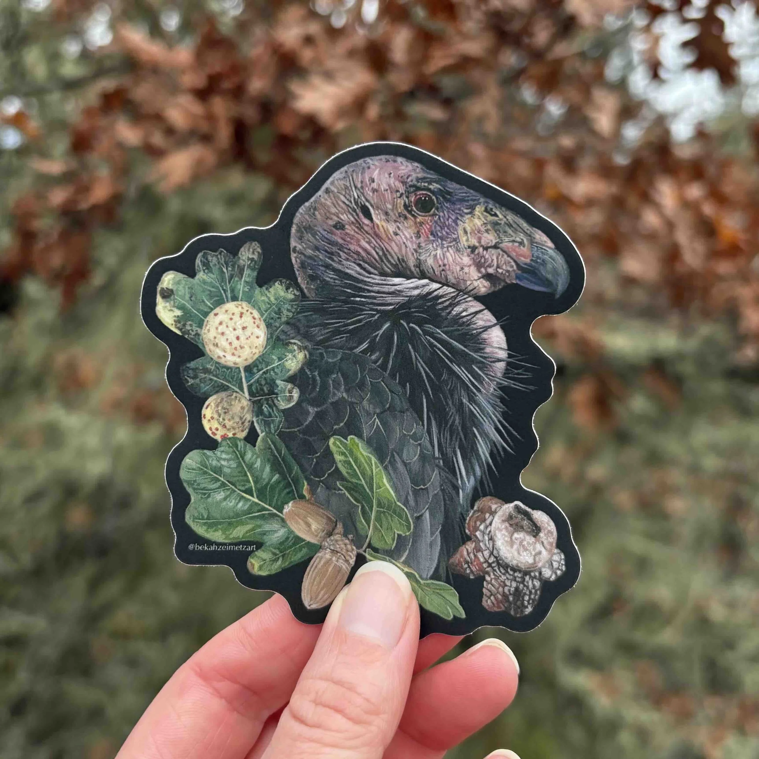 California Condor Sticker.jpg