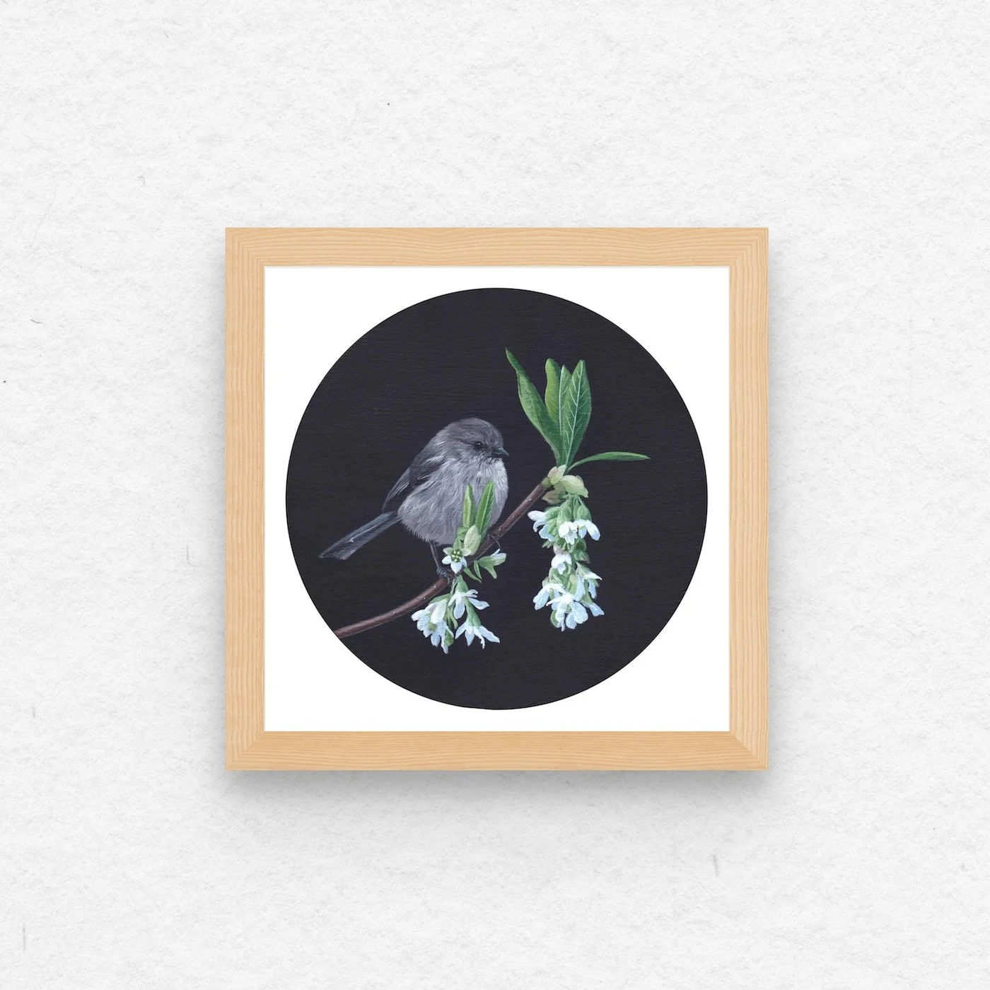 Bushtit and Osoberry Flowers.jpg