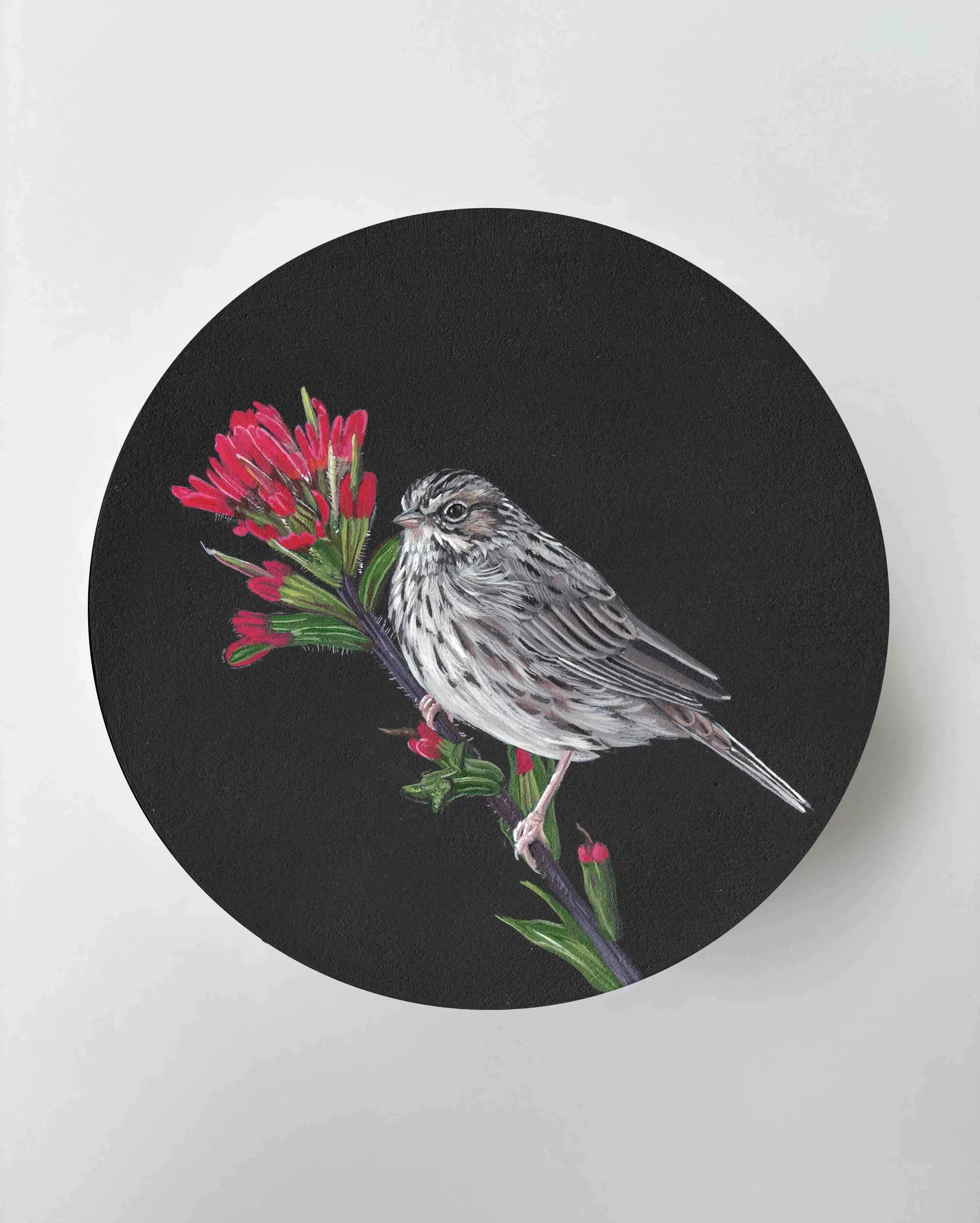 Bekah Zeimetz_savannah sparrow internet.jpg