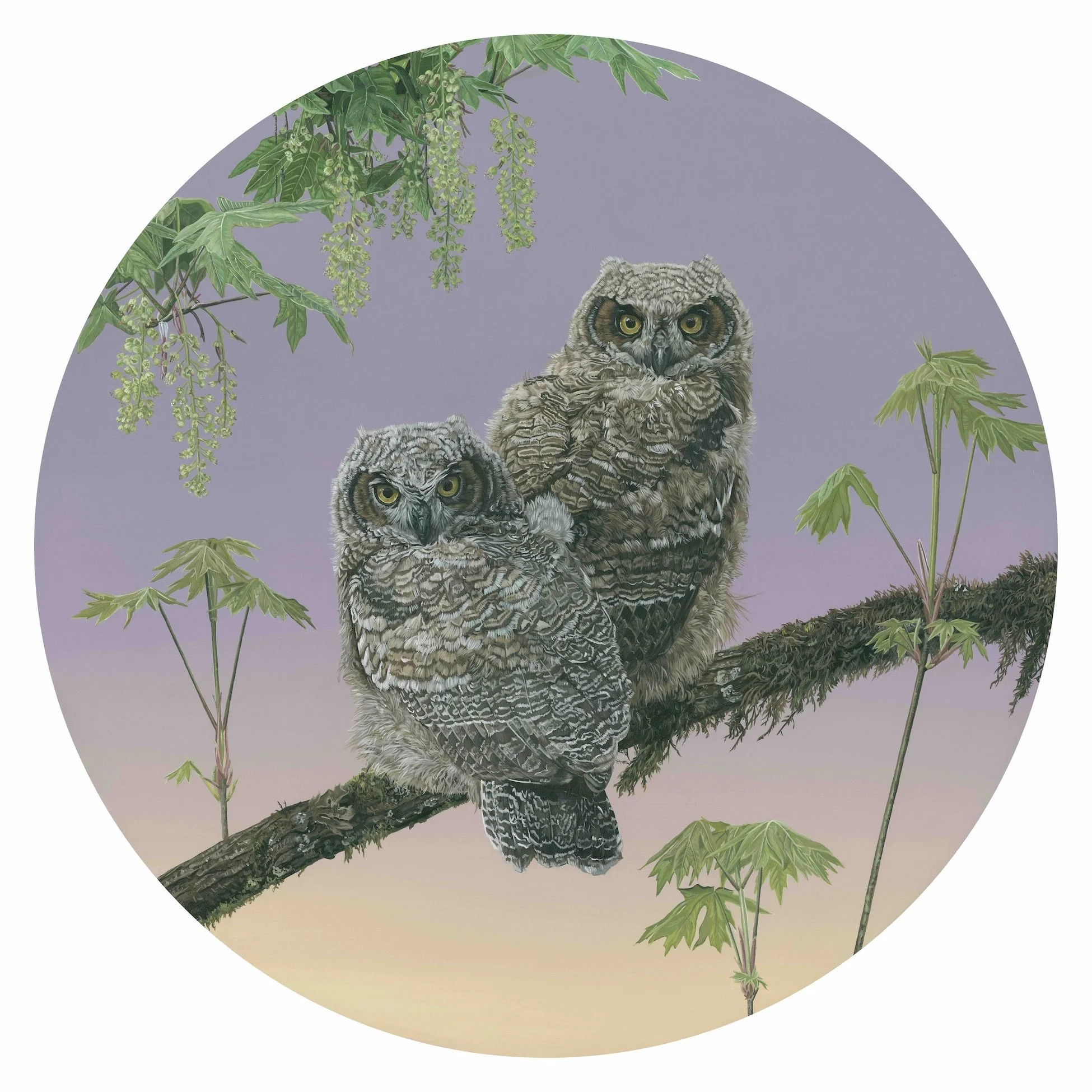 Bekah_Zeimetz_Great_Horned_Owls_Wildlife_Artist_Eugene_Oregon.jpg