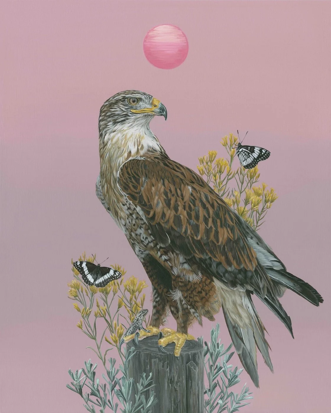 Ferruginous Hawk Painting_Bekah Zeimetz_Wildlife Art.jpg