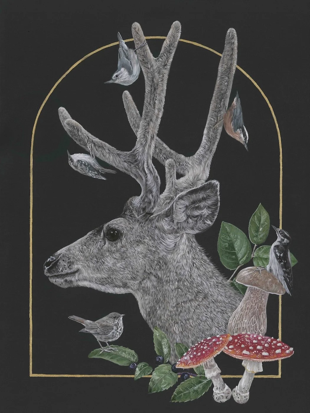 Deer_Mushroom_Nuthatch_Brown Creeper_Downy Woodpecker_Hermit Thrush .jpg