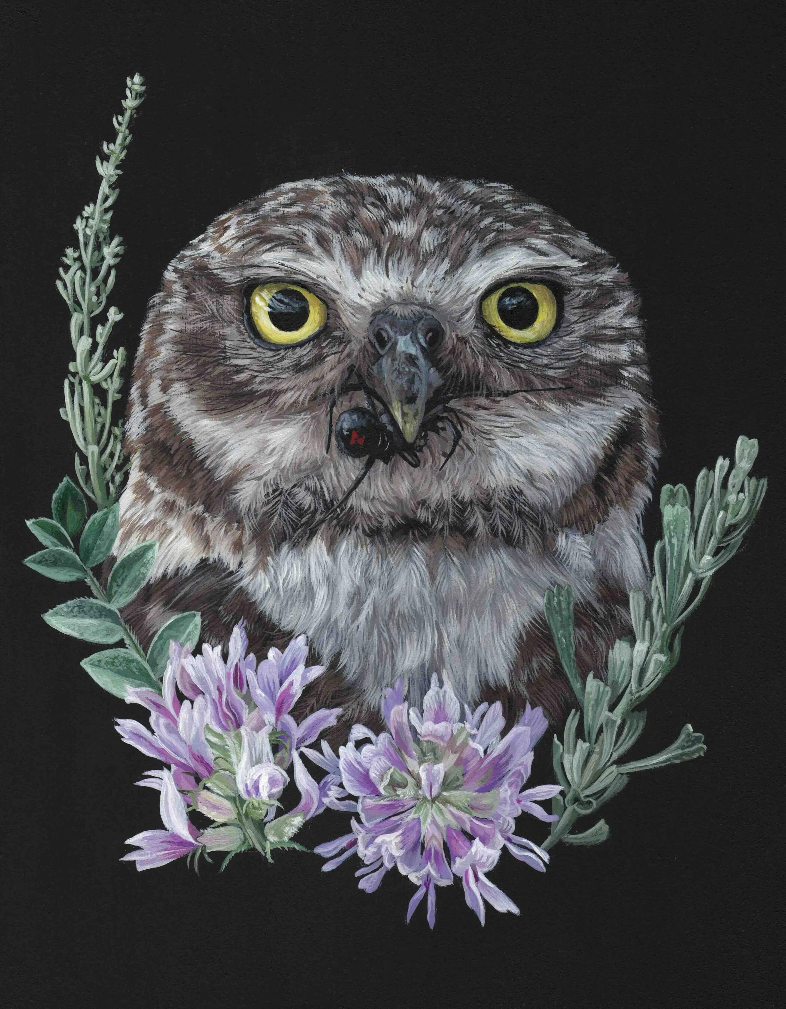 Burrowing Owl Sage Bekah Zeimetz Bird Painter Eugene Oregon.jpeg