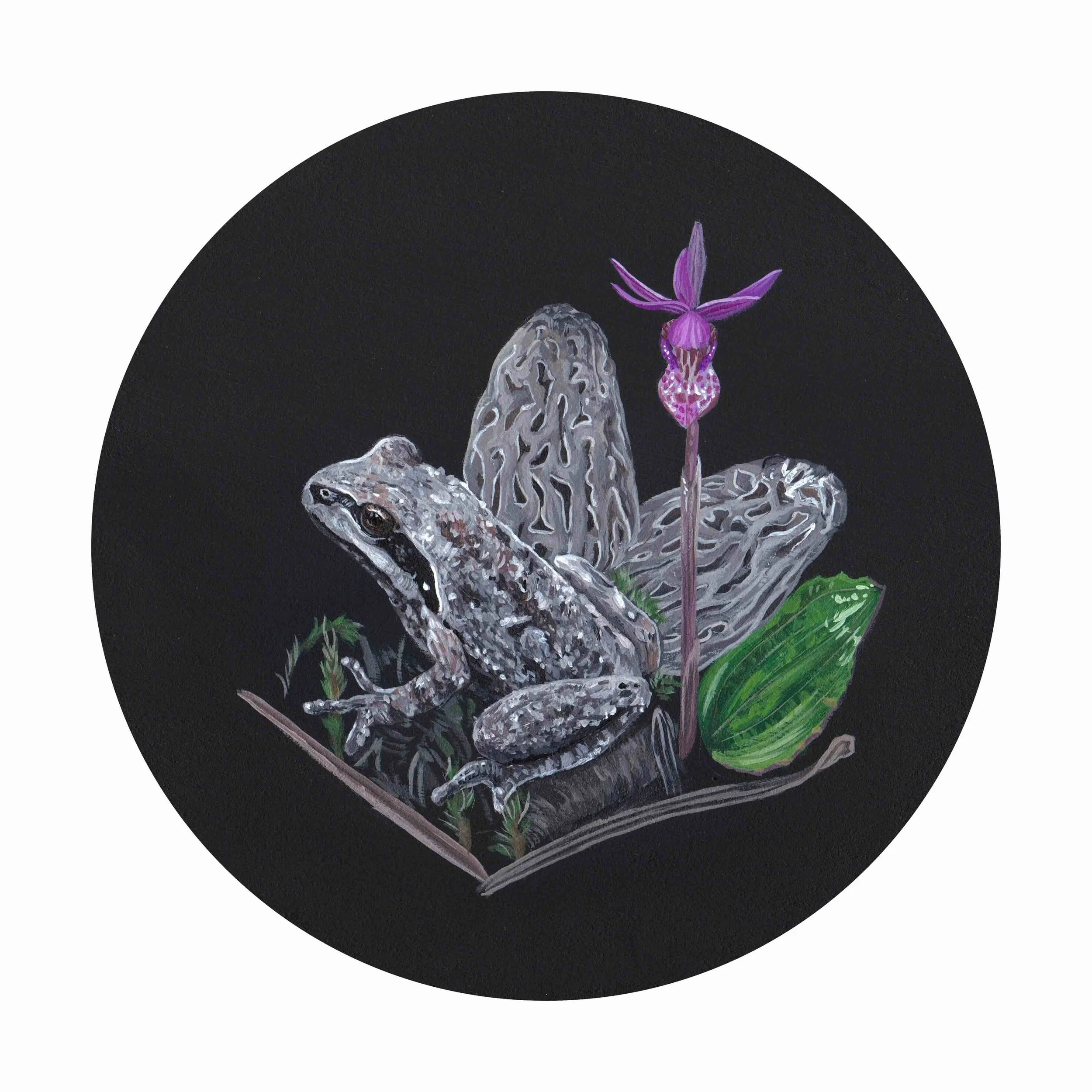 Pacific_Chorus_Frog_Bekah_Zeimetz_Art_Oregon_Wildlife_Painter.jpg