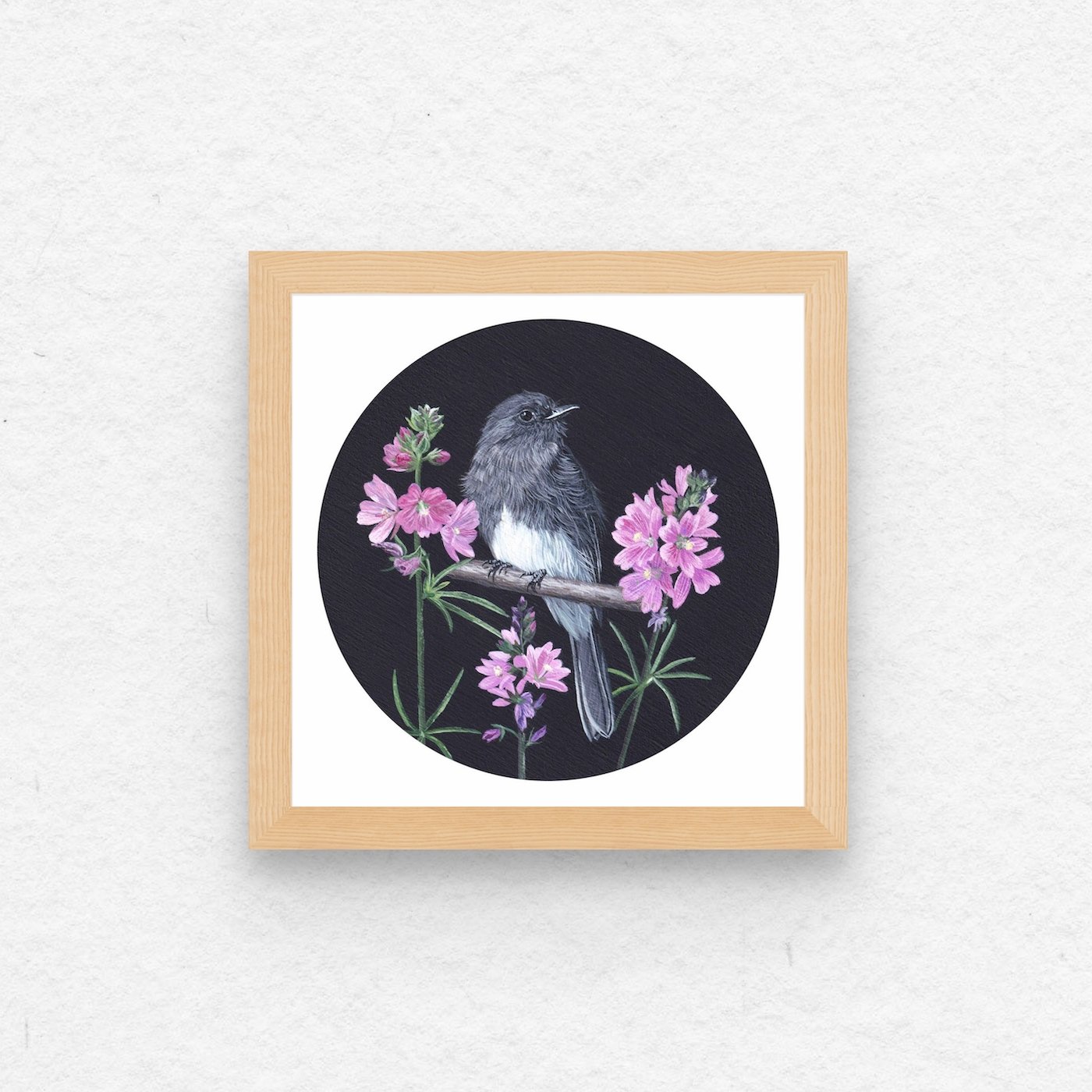 Black Phoebe & Checkermallow.jpg