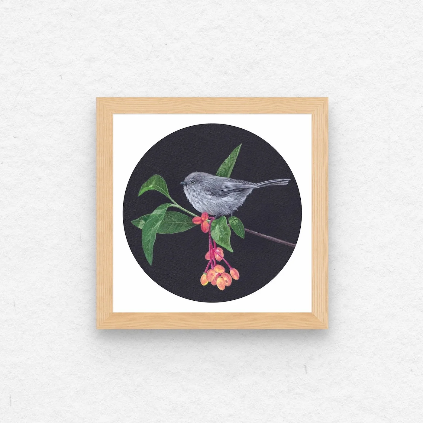 Bushtit & Indian Plum.jpg