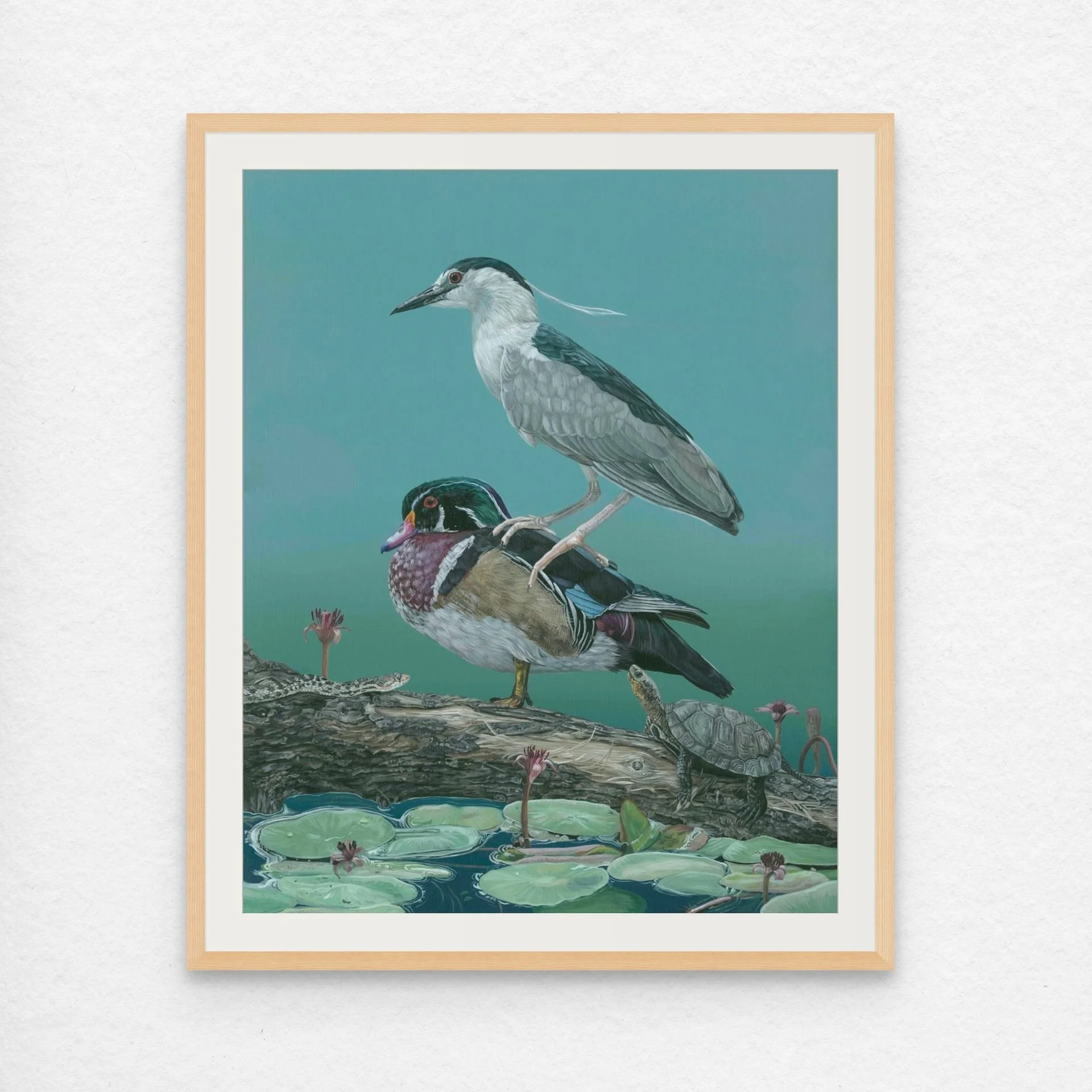 bz night heron  wood duck 16x20 final s_i-medium.jpg