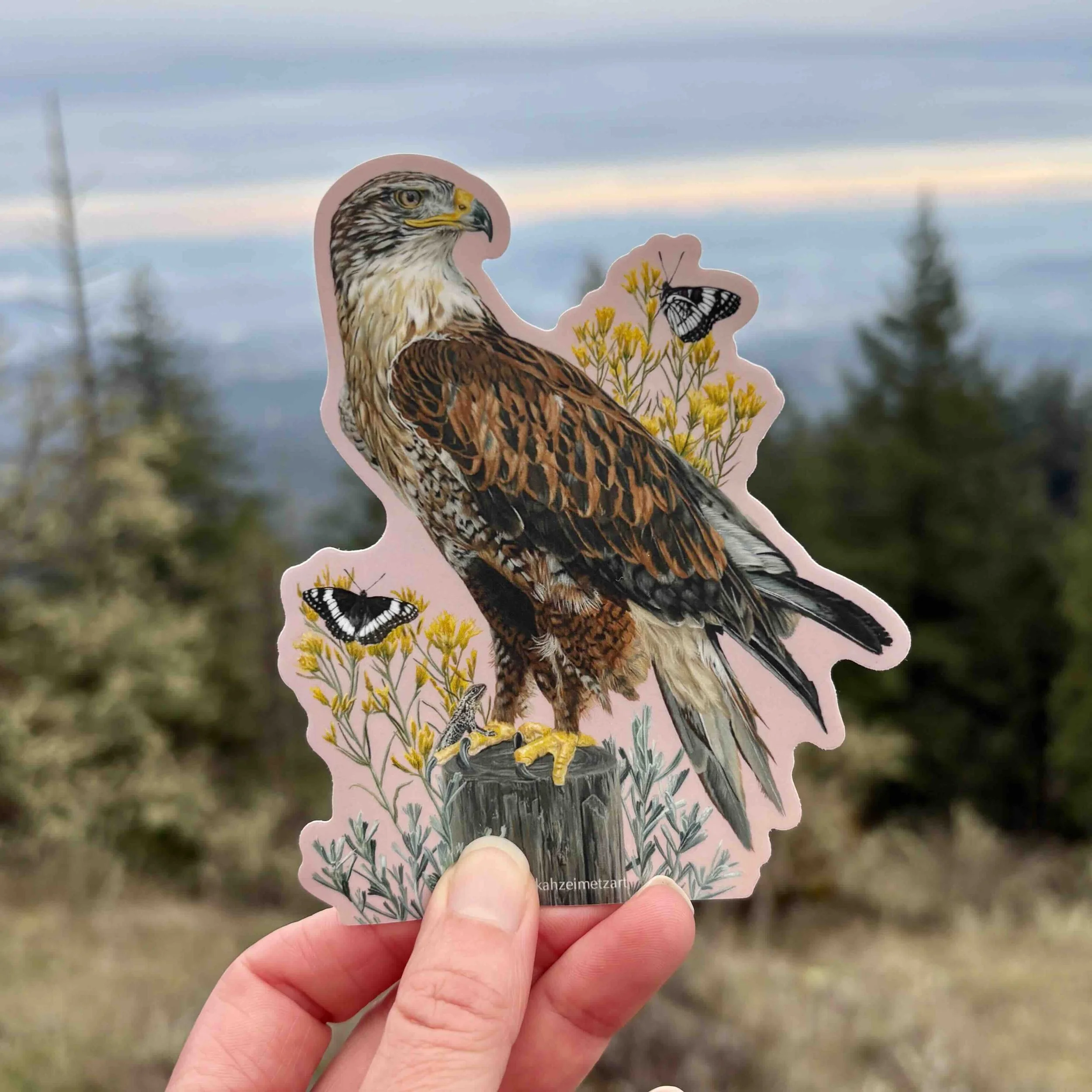 Ferruginous Hawk Sticker.jpg