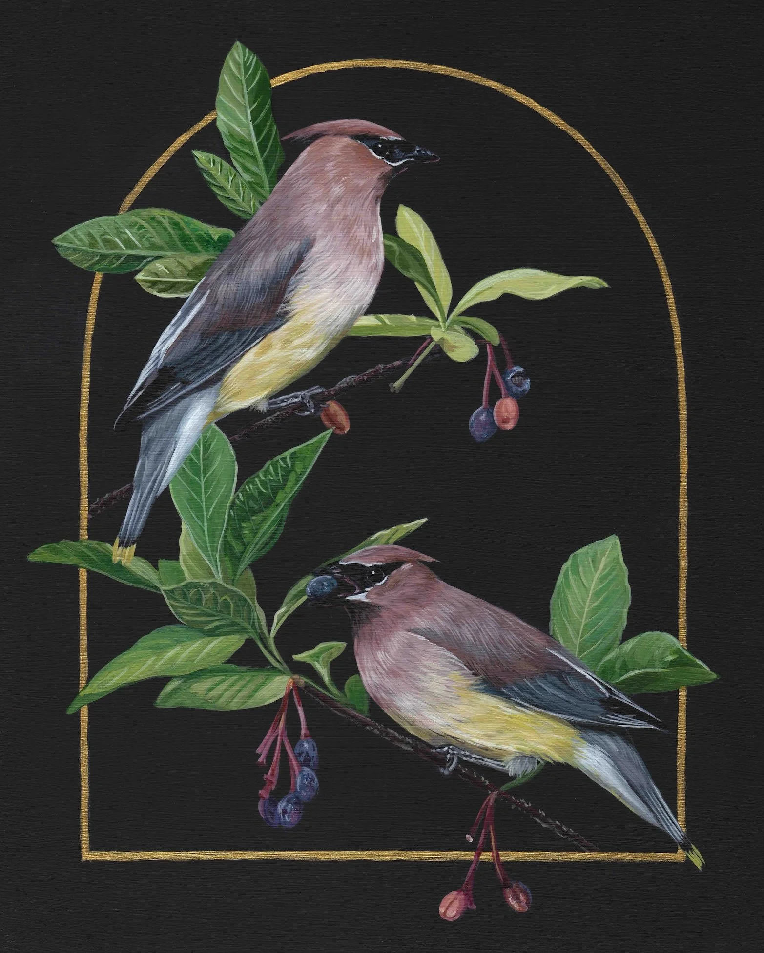 Cedar Waxwing_Indian Plum_Bird Paintings_Eugene Oregon_Bekah Zeimetz.jpg