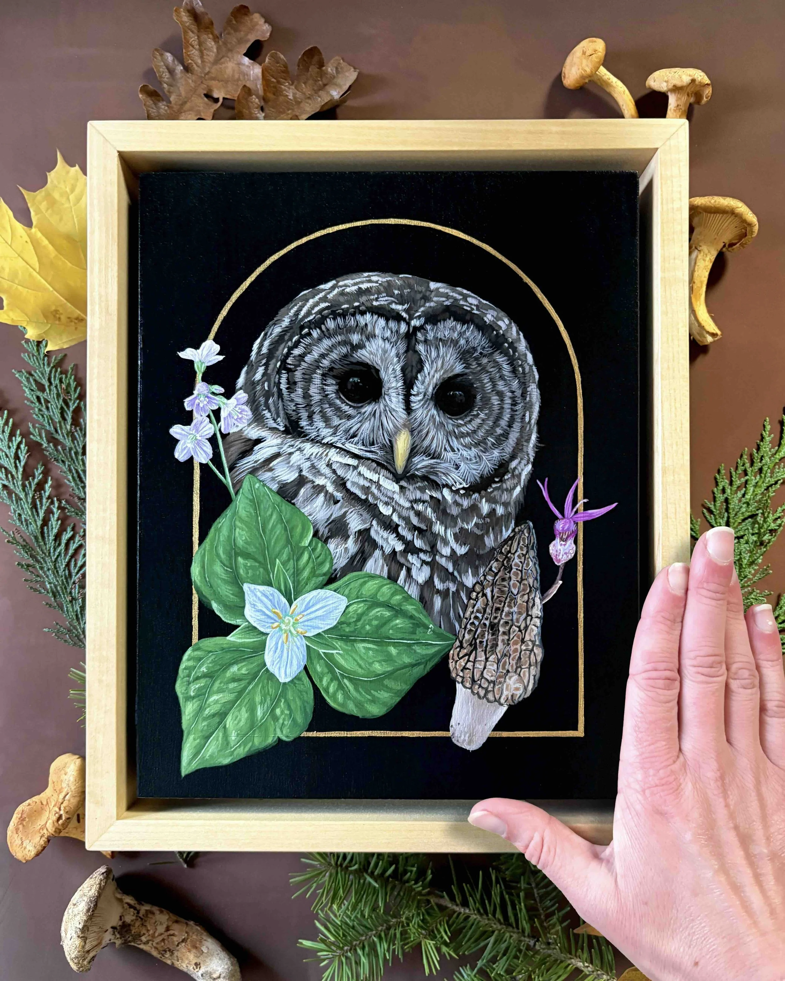 Barred Owl_Bekah Zeimetz_2.jpg