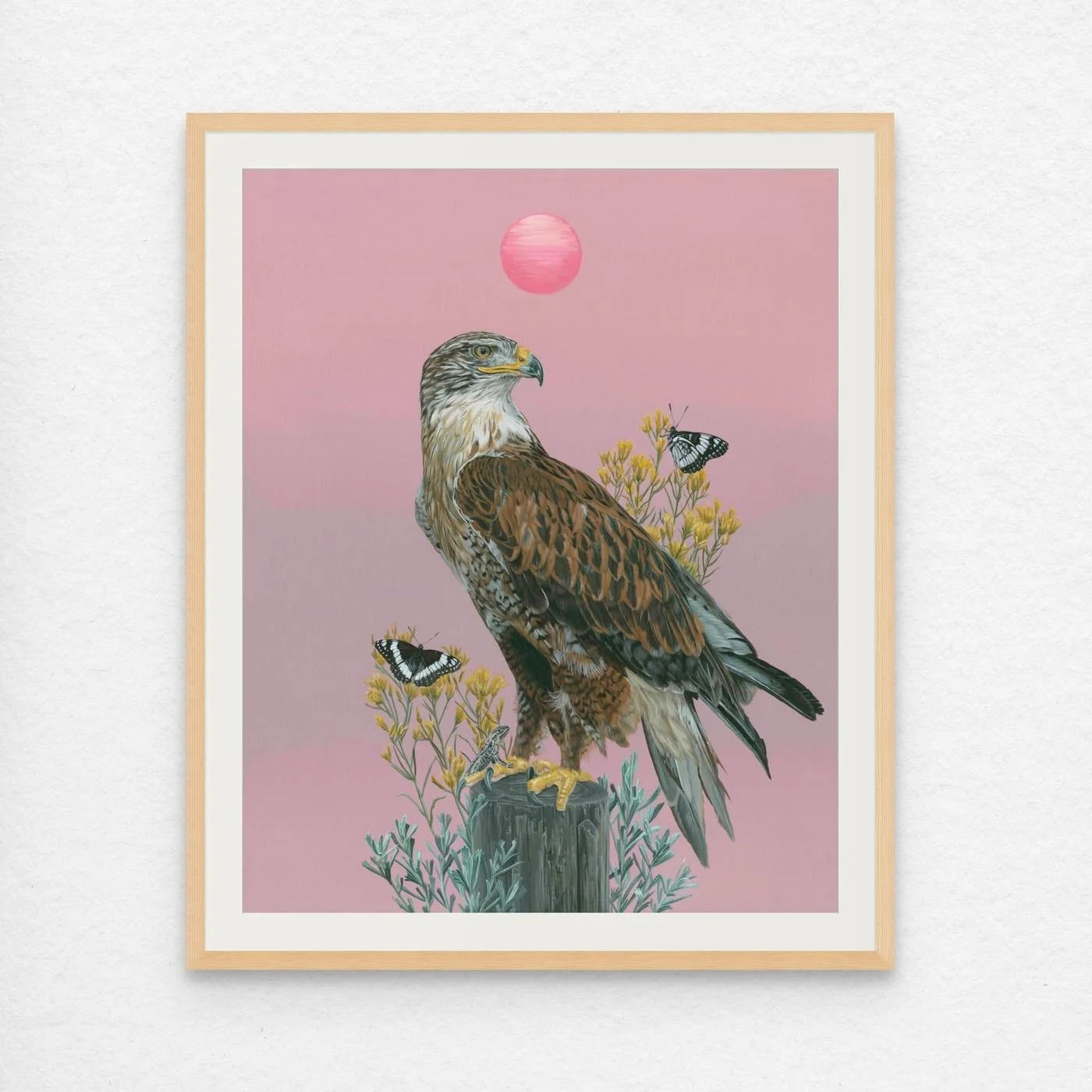 bz ferruginous hawk 16x20 final s_pm-custom.jpg