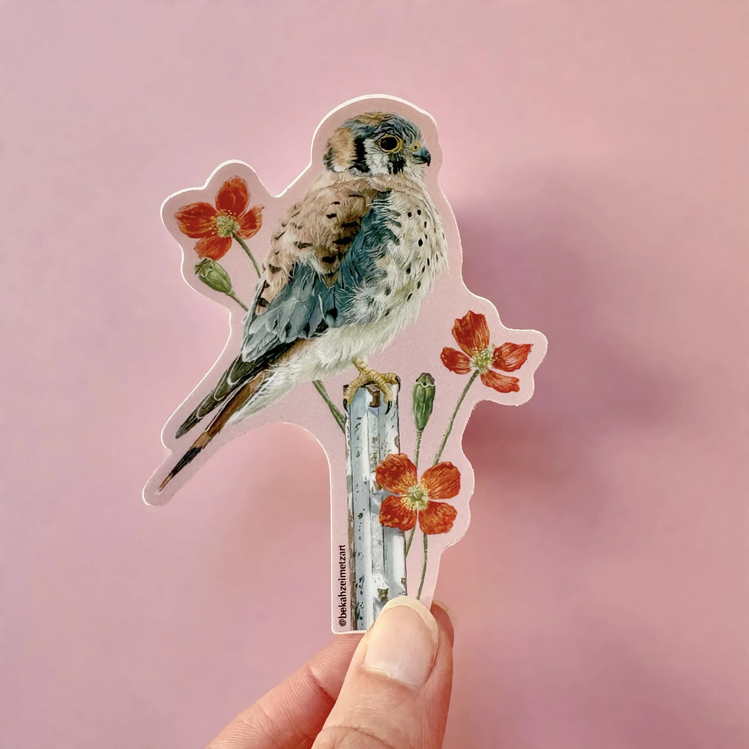 Kestrel Sticker 1.jpg