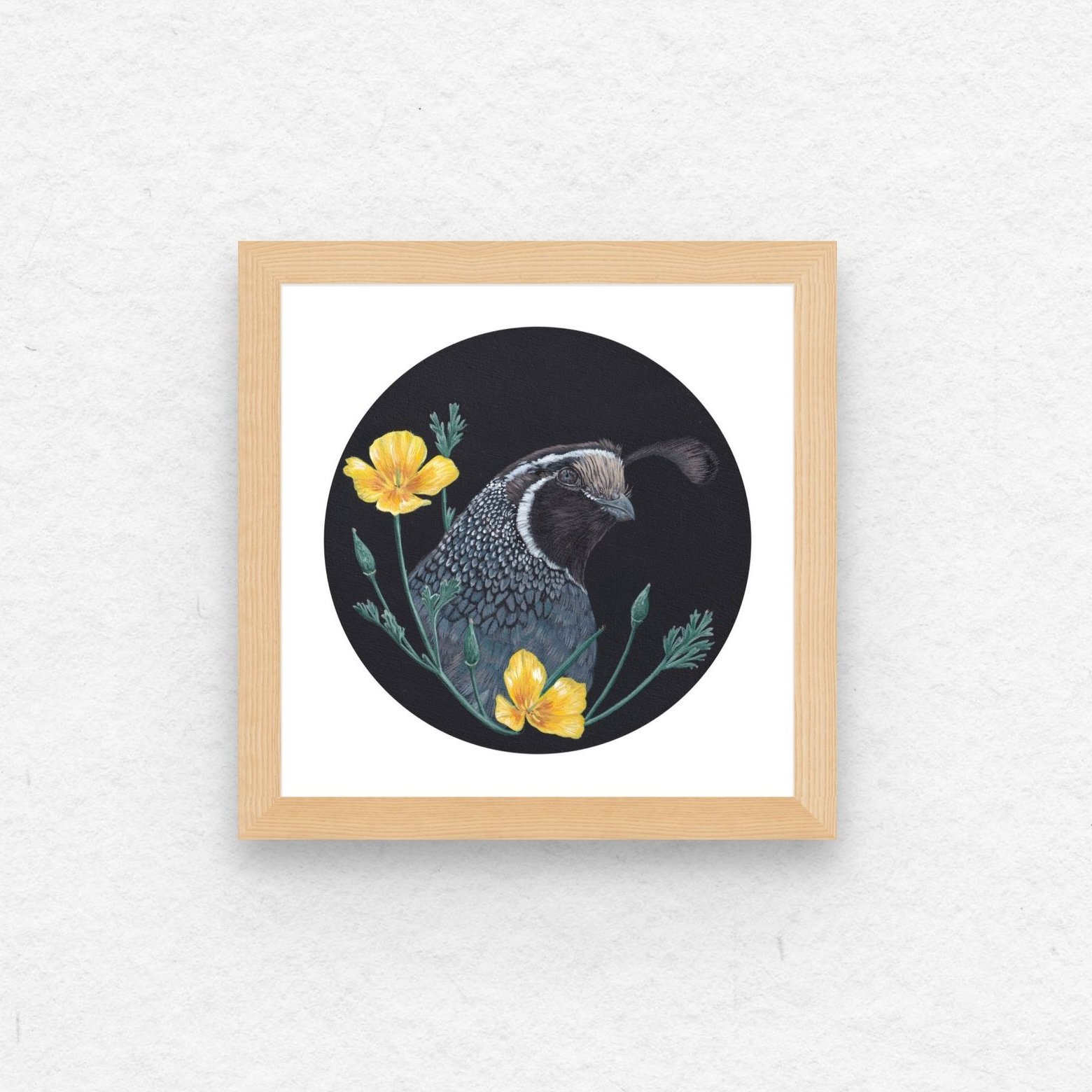 Quail & California Poppy.jpg