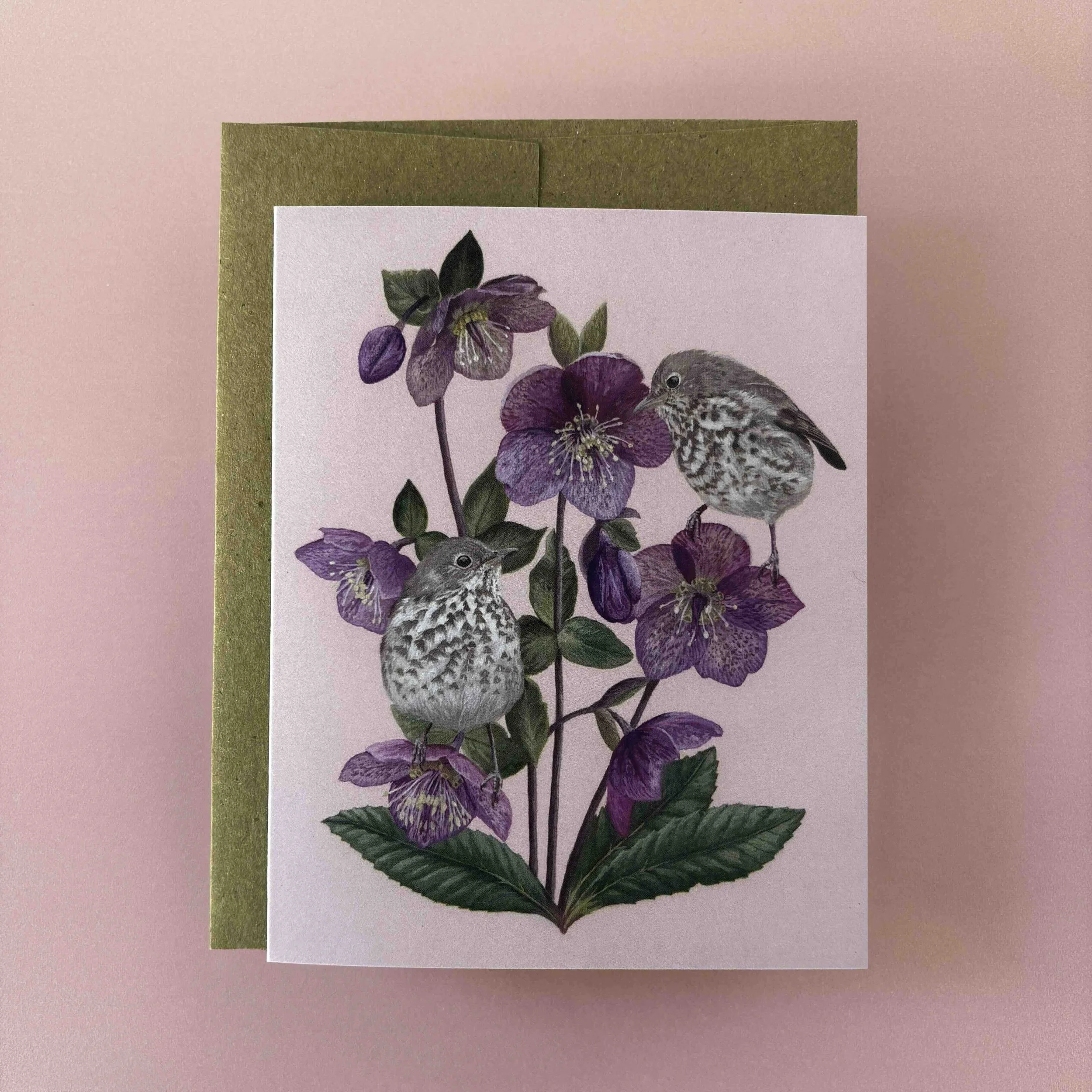 Hermit Thrush GC.jpg