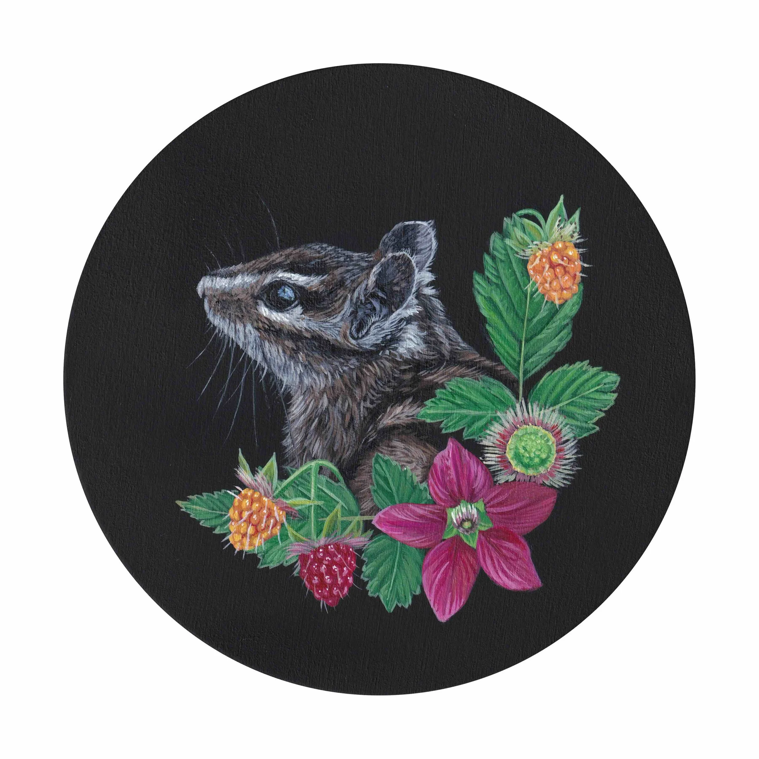 Bekah_Zeimetz_Art_Chipmunk_Salmonberry.jpg