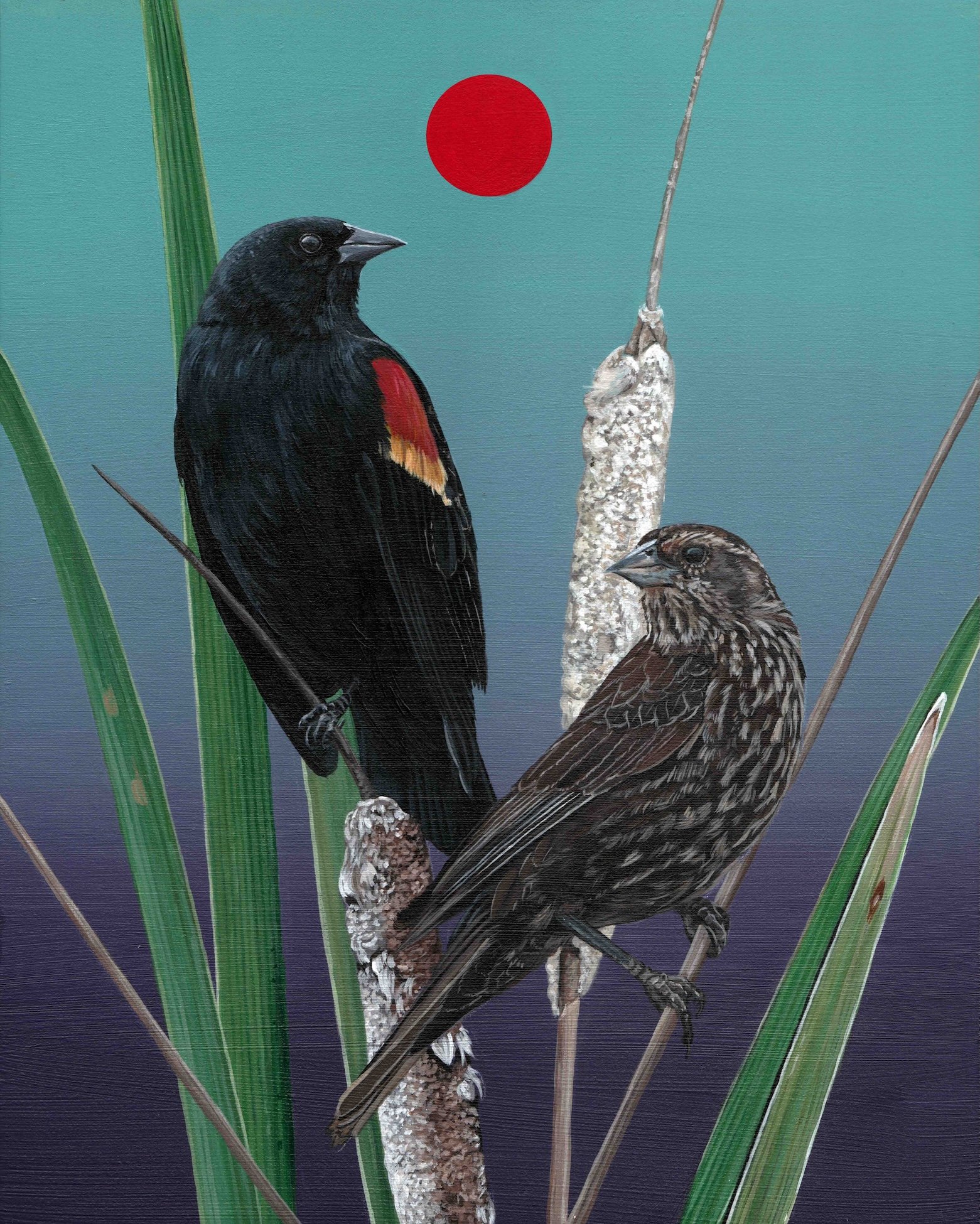 Red-Winged Blackbirds.jpg